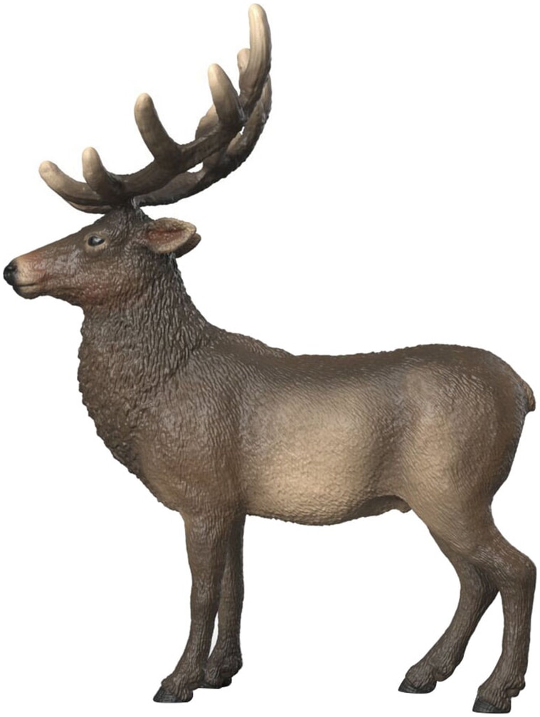 Schleich® Spielfigur »WILD LIFE, Amerikanischer Rothirsch (14992)«