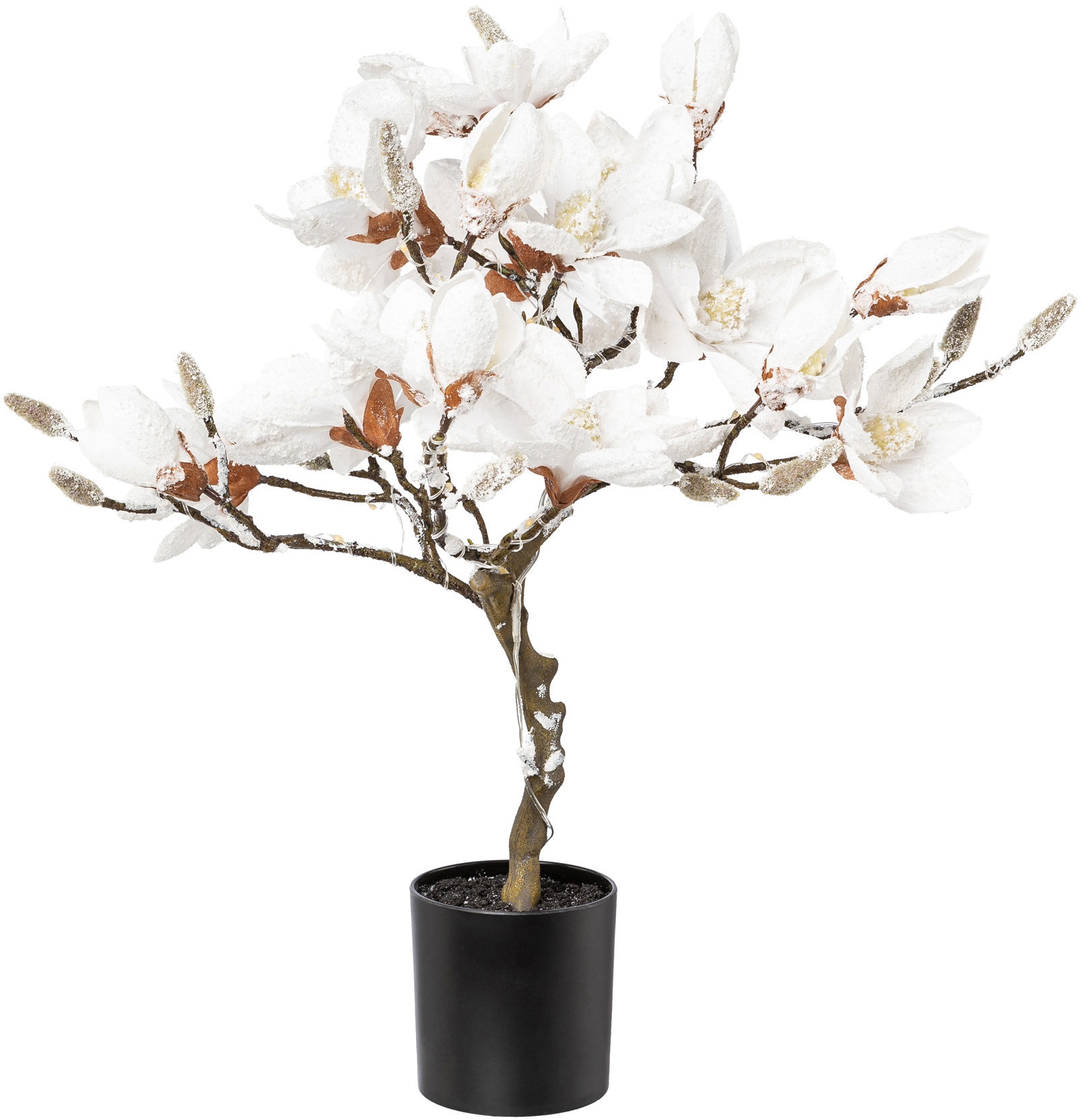 Creativ deco LED Baum »Magnolie«, 20 beschneit, mit 58 ca. acheter LEDs 25 cm, Höhe flammig-flammig, confortablement