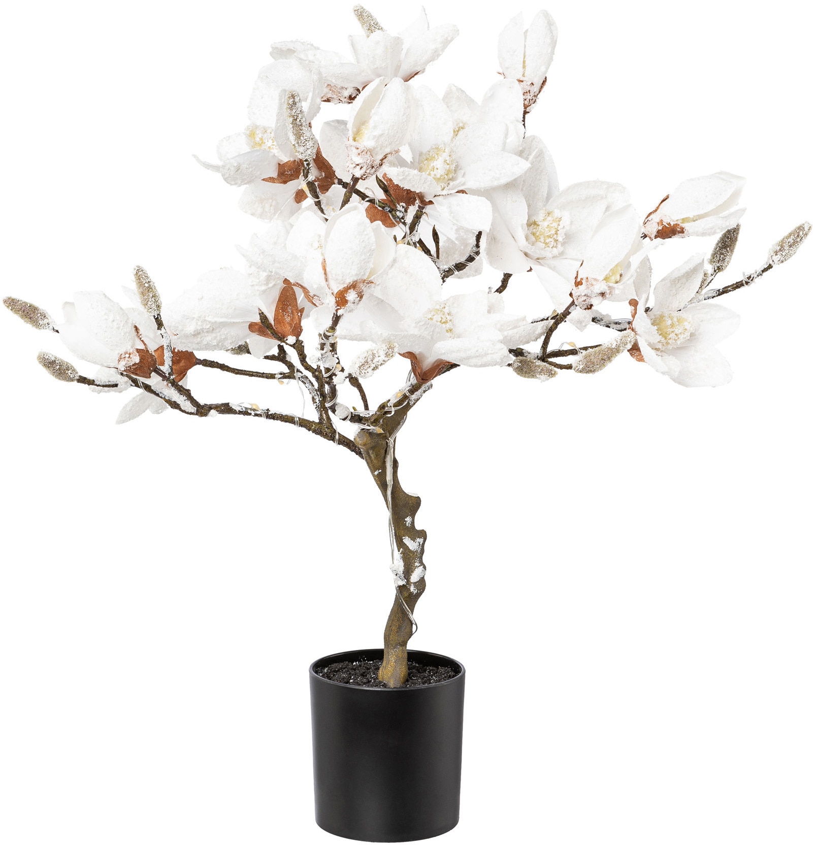 Creativ deco Kunstpflanze »Magnolie« beschneit, mit 20 LEDs