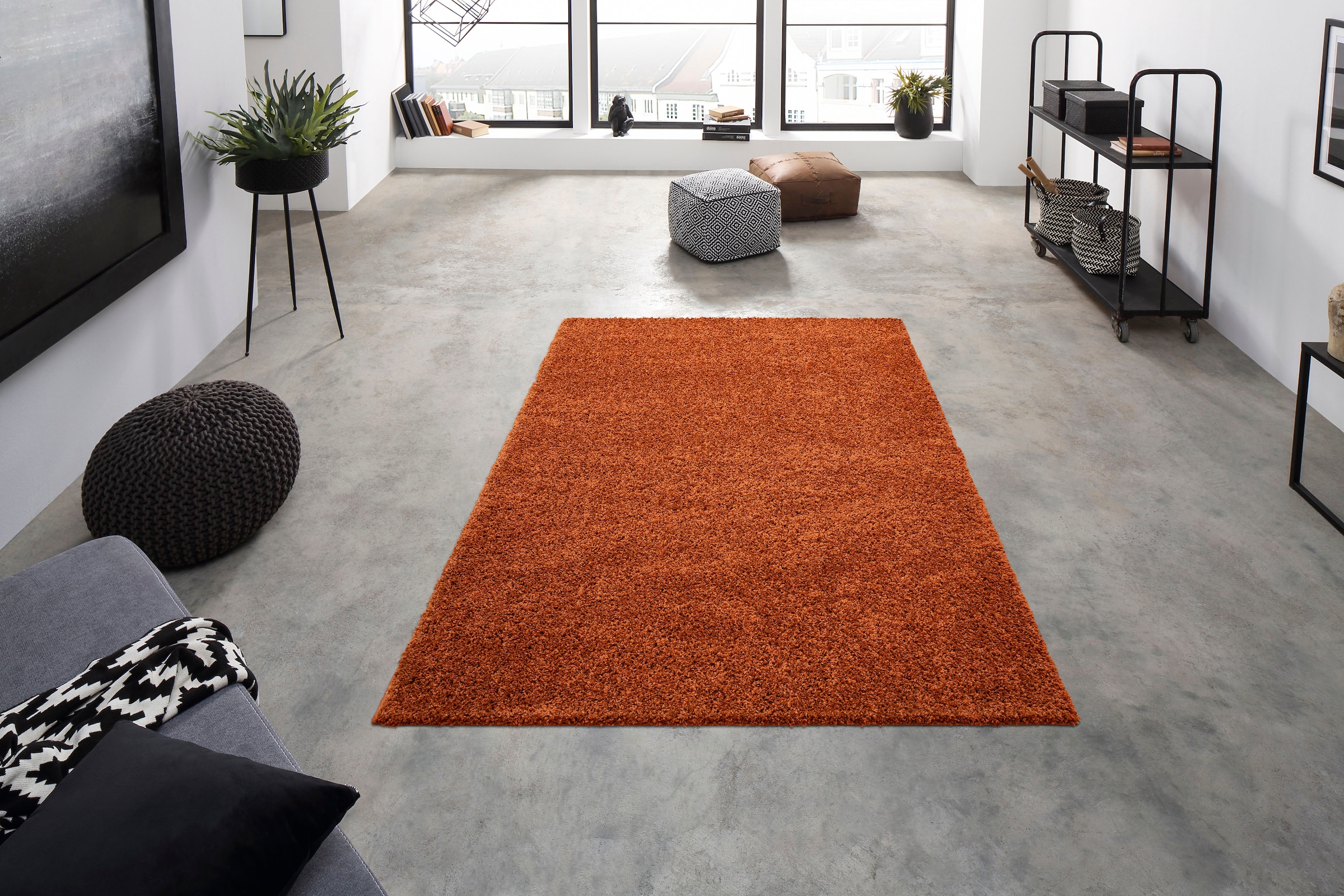 Home affaire Hochflor-Teppich »Shaggy 30«, rechteckig, 30 mm Höhe, Teppich, Uni Farben, besonders weich und kuschelig
