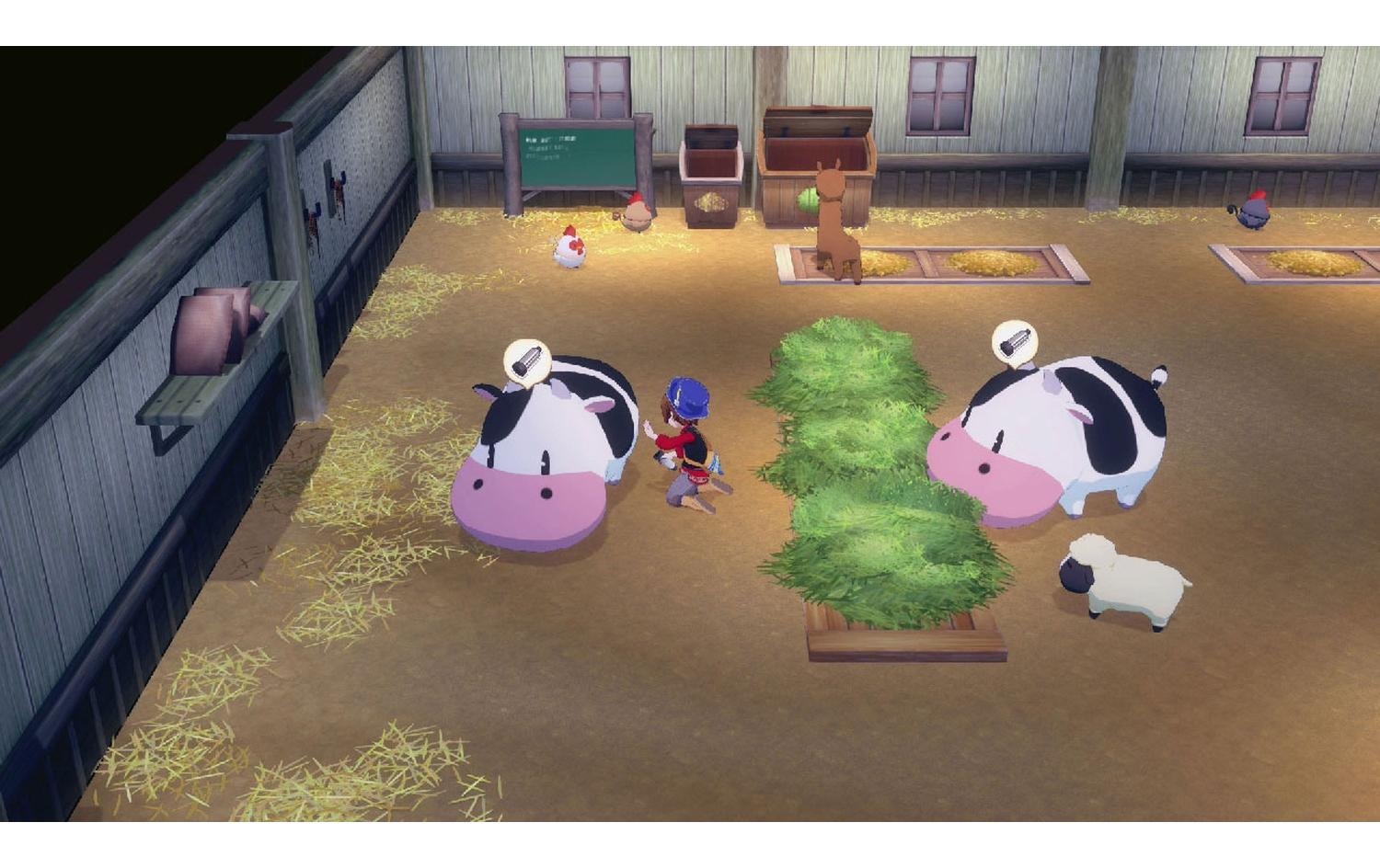 Marvelous Games Logiciel de jeu »Story of Seasons: Grand Bazaar (Switch 2)« Nintendo Switch 2