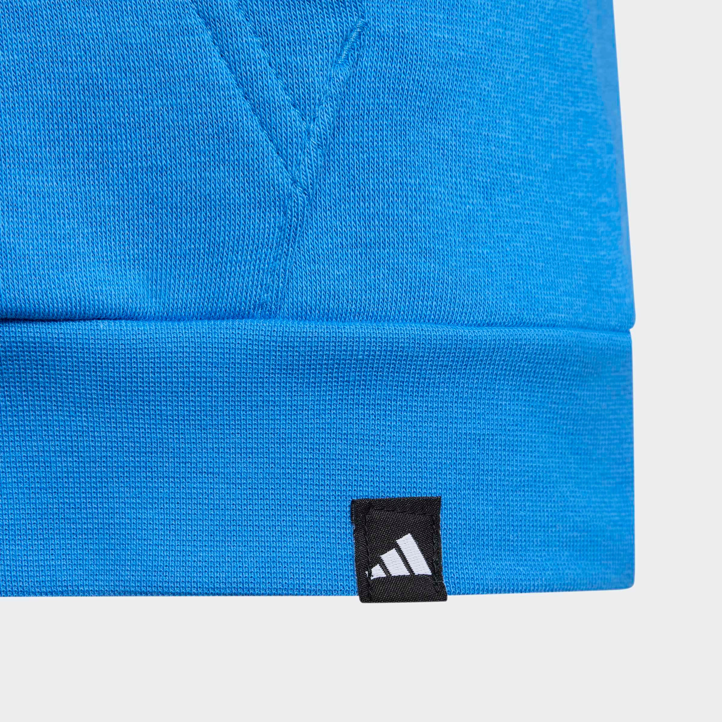 adidas TERREX Sweat à capuche »K MT LOGO HD«
