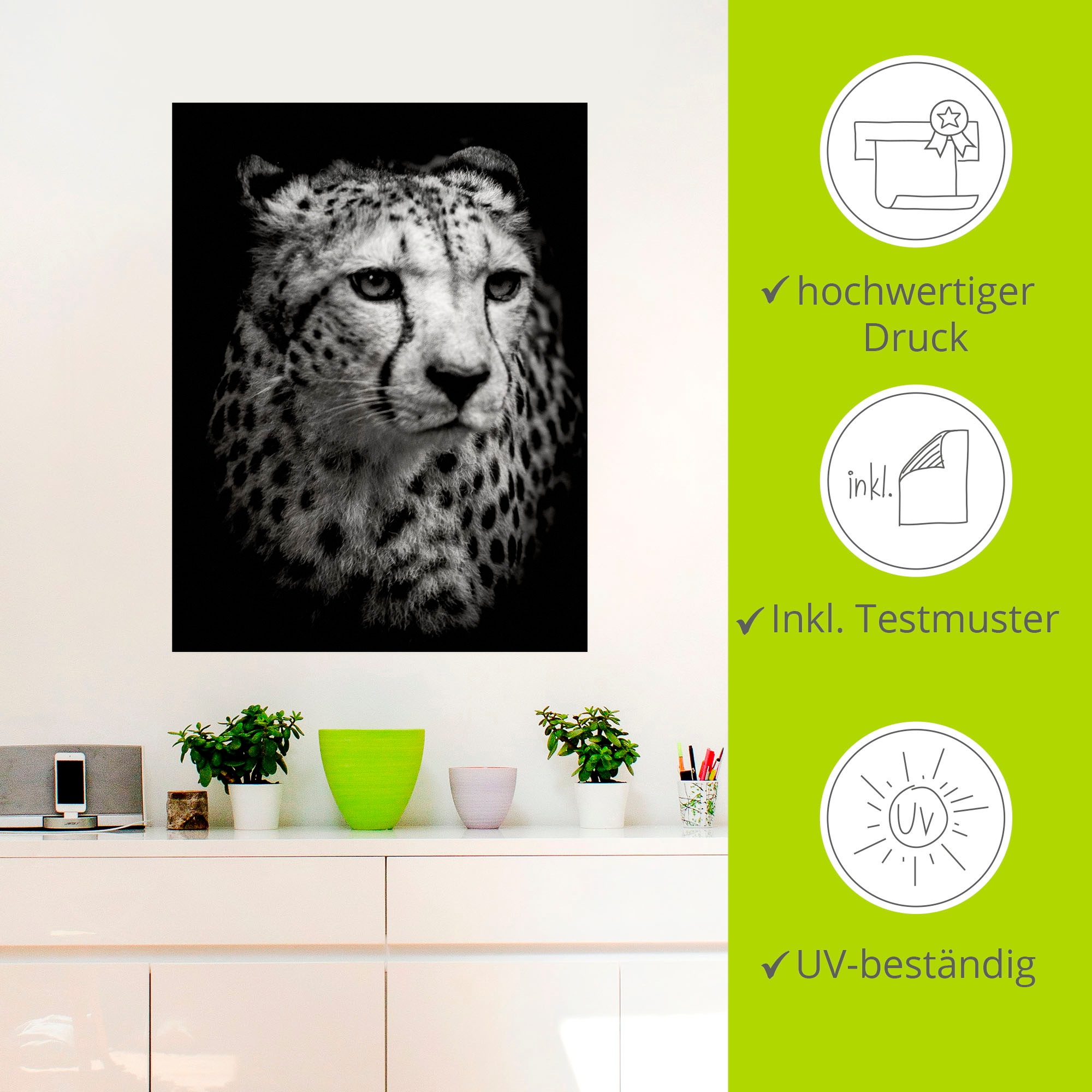 Artland Wandbild »Der Gepard«, Wildtiere, (1 St.), als Alubild, Outdoorbild, Leinwandbild, Wandaufkleber, versch. Grössen