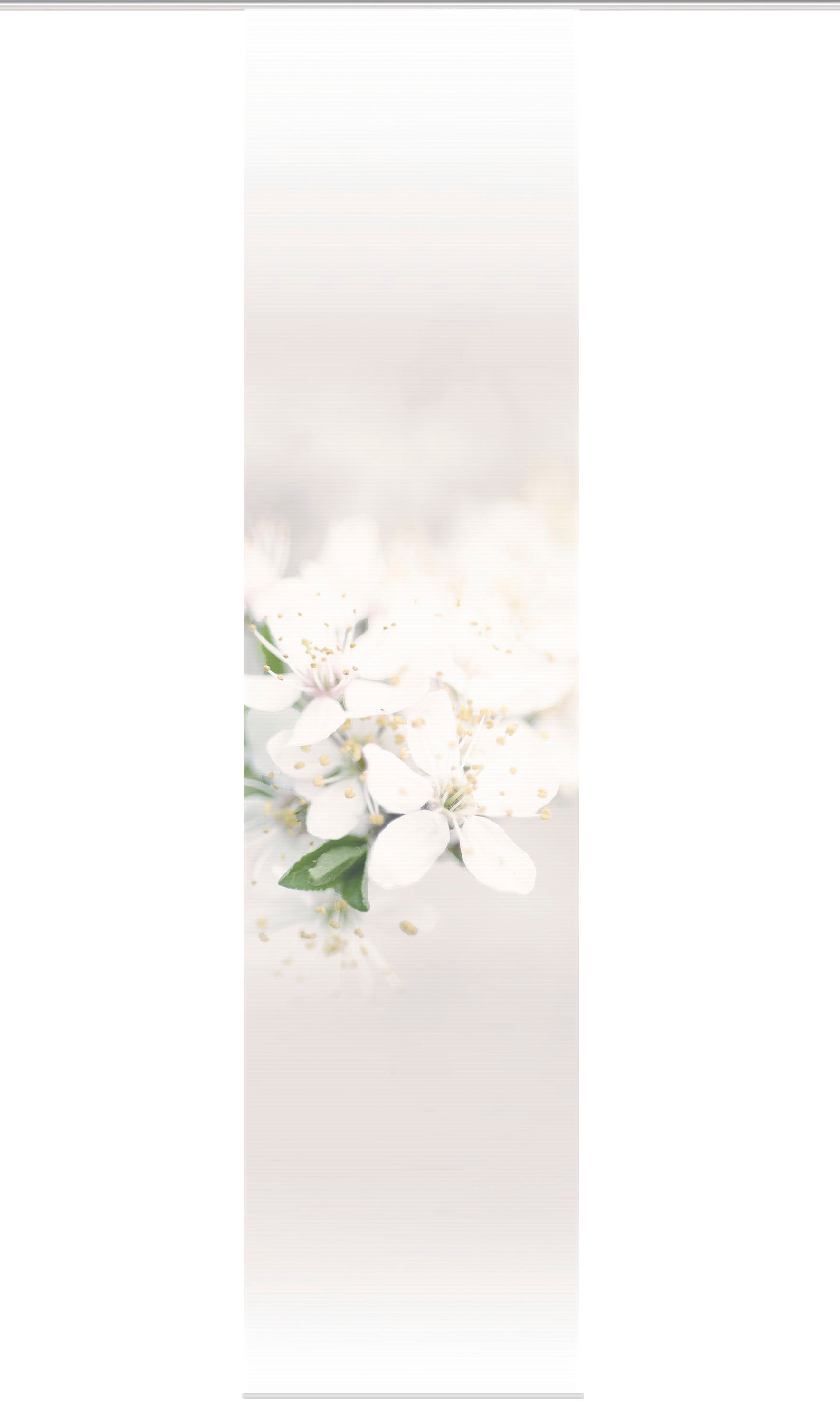 Image of Vision S Schiebegardine »PULSA«, (1 St.), HxB: 260x60, BAMBUS OPTIK bei Ackermann Versand Schweiz