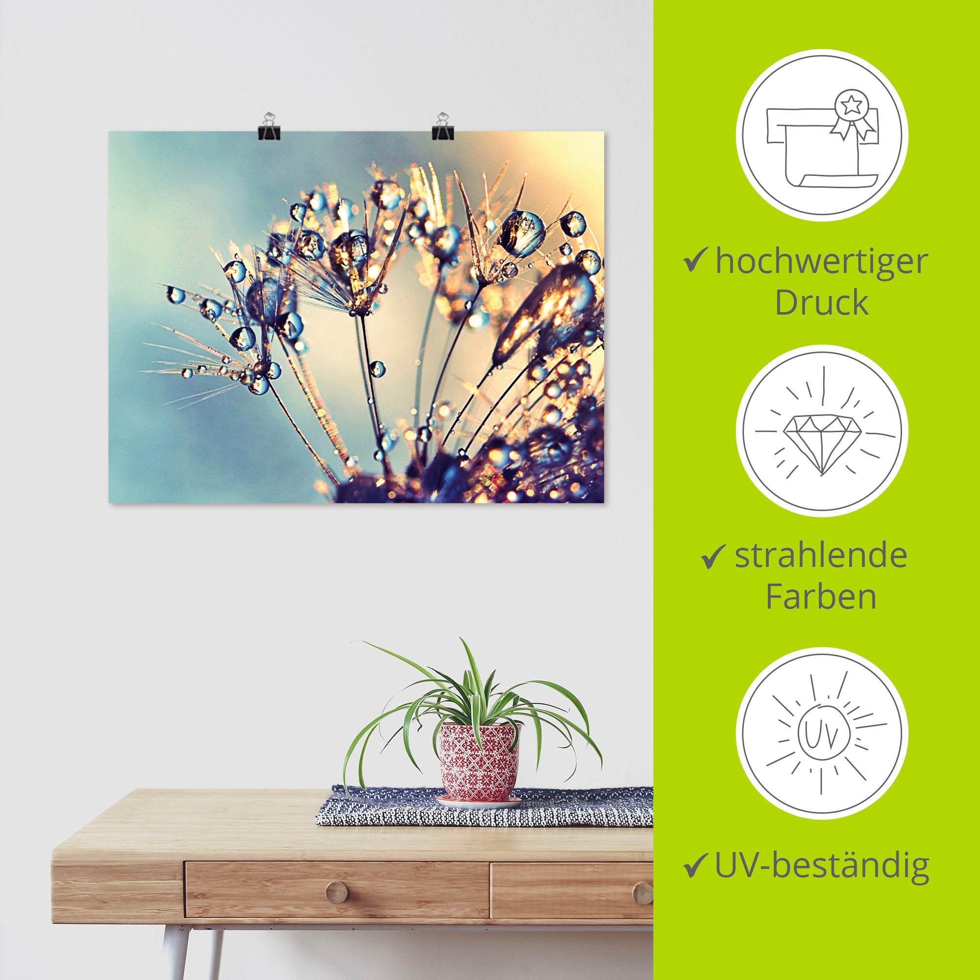 Artland Fresque murale »Pusteblume Glitzertau« 1 cuis tlg. als Leinwandbild, Poster in verschied. Grössen