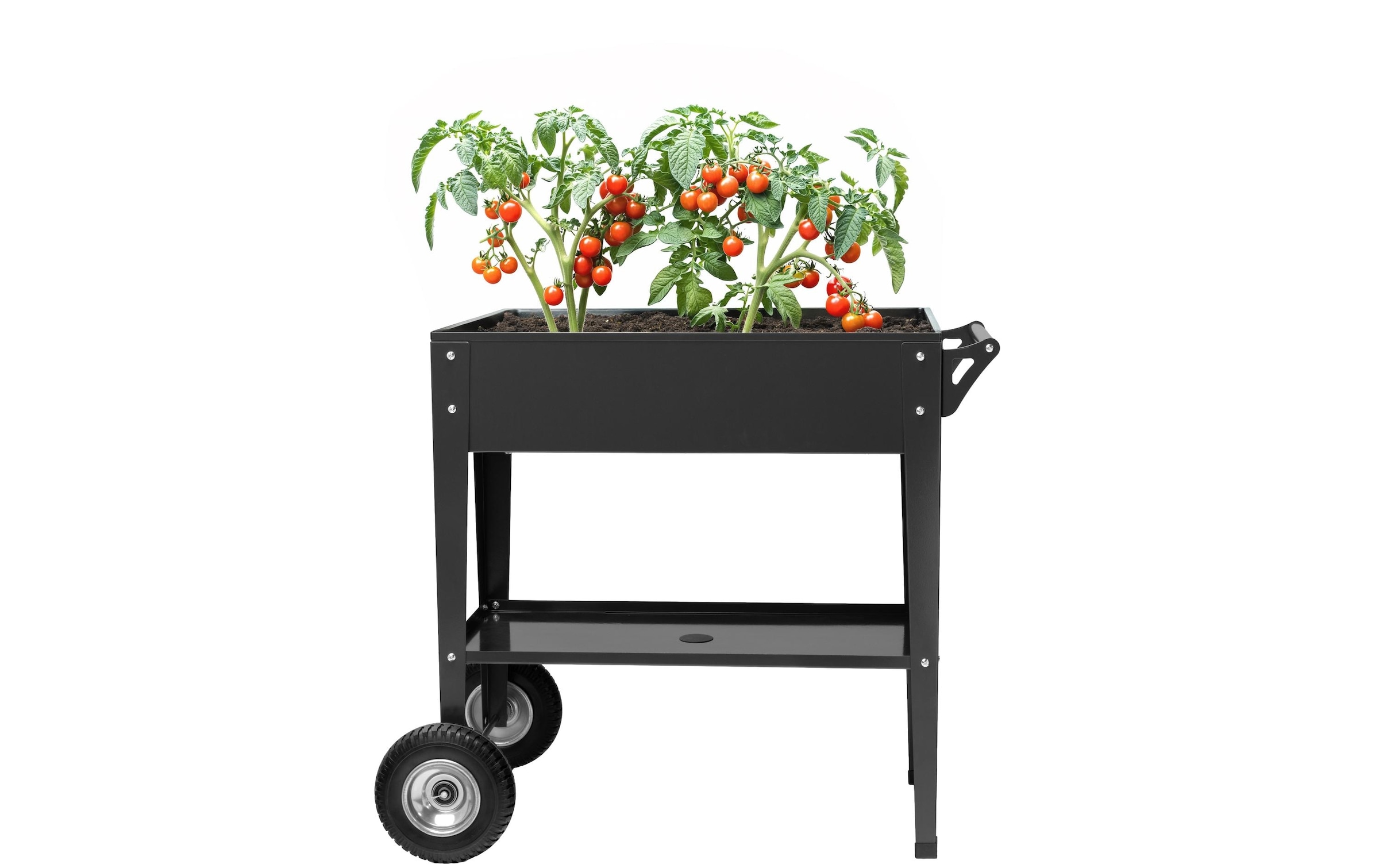 Cocon Hochbeet »mit Räder 85 x 50 x 80 cm«