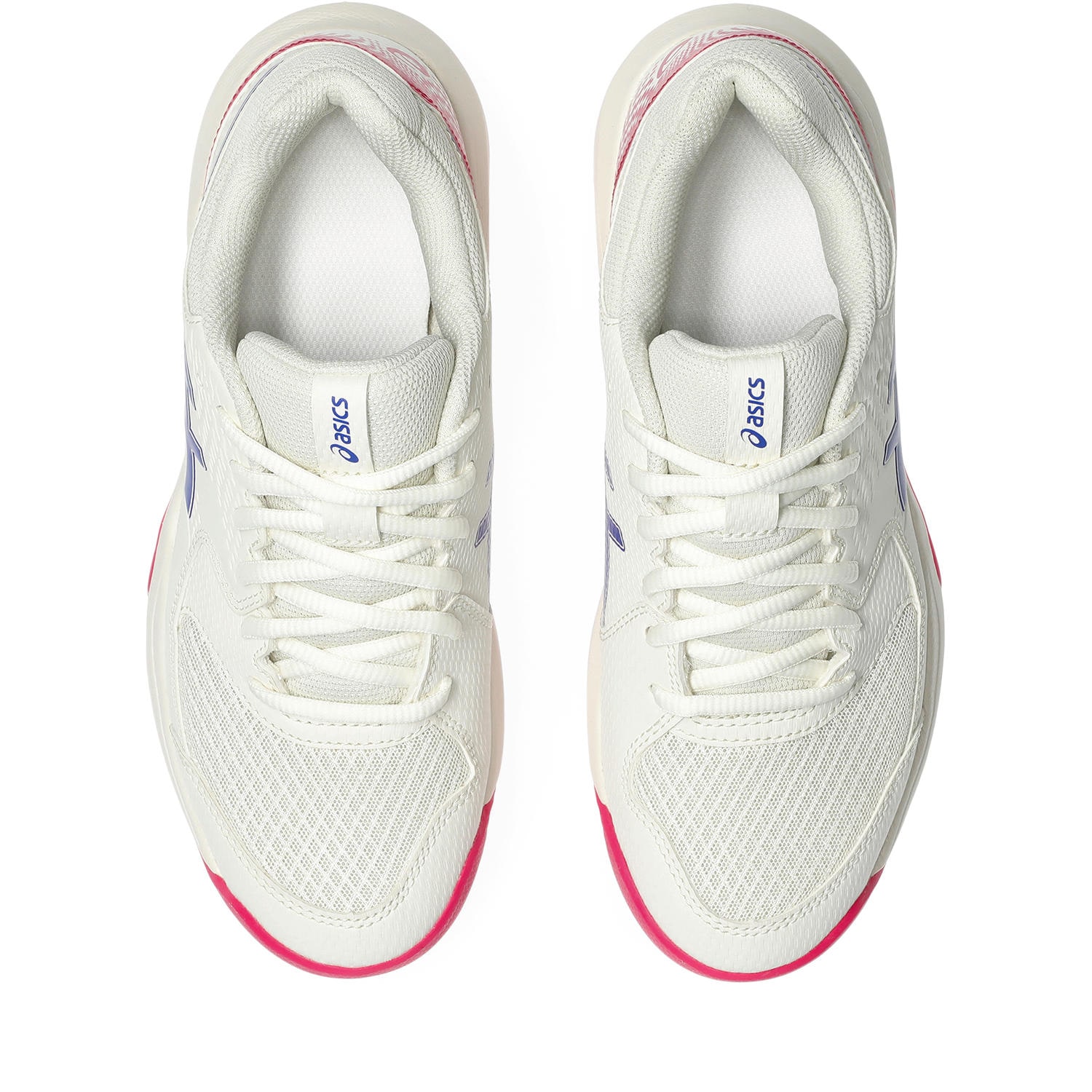 Asics Tennisschuh »GEL-DEDICATE 8 CLAY«, Sandplatzschuhe für Ascheplätze