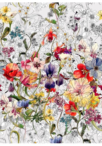 Komar Fototapete »Flora«, bedruckt-floral-geblümt, ausgezeichnet lichtbeständig kaufen