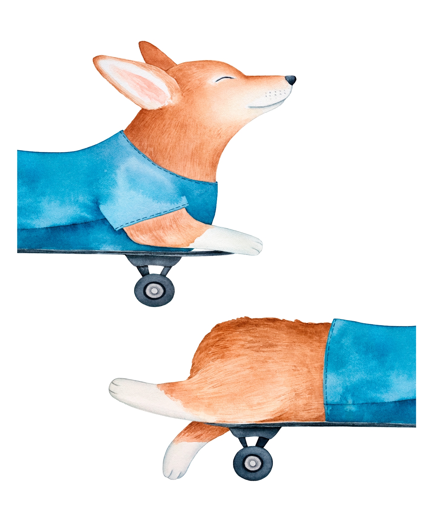 Lüttenhütt Bild mit Rahmen »oder Poster, Hund auf Skateboard« Fantasy | Hundebilder | Tiere 1 Stk. tlg. HD Premium Druck