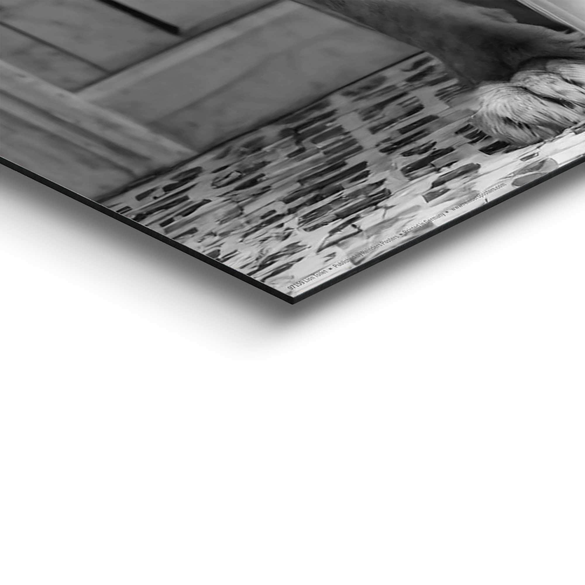 Reinders! Panneau déco »Löwe auf Toilette« Toilette - Schwarz-Weiss - MDF - Tiere - 40x50 cm