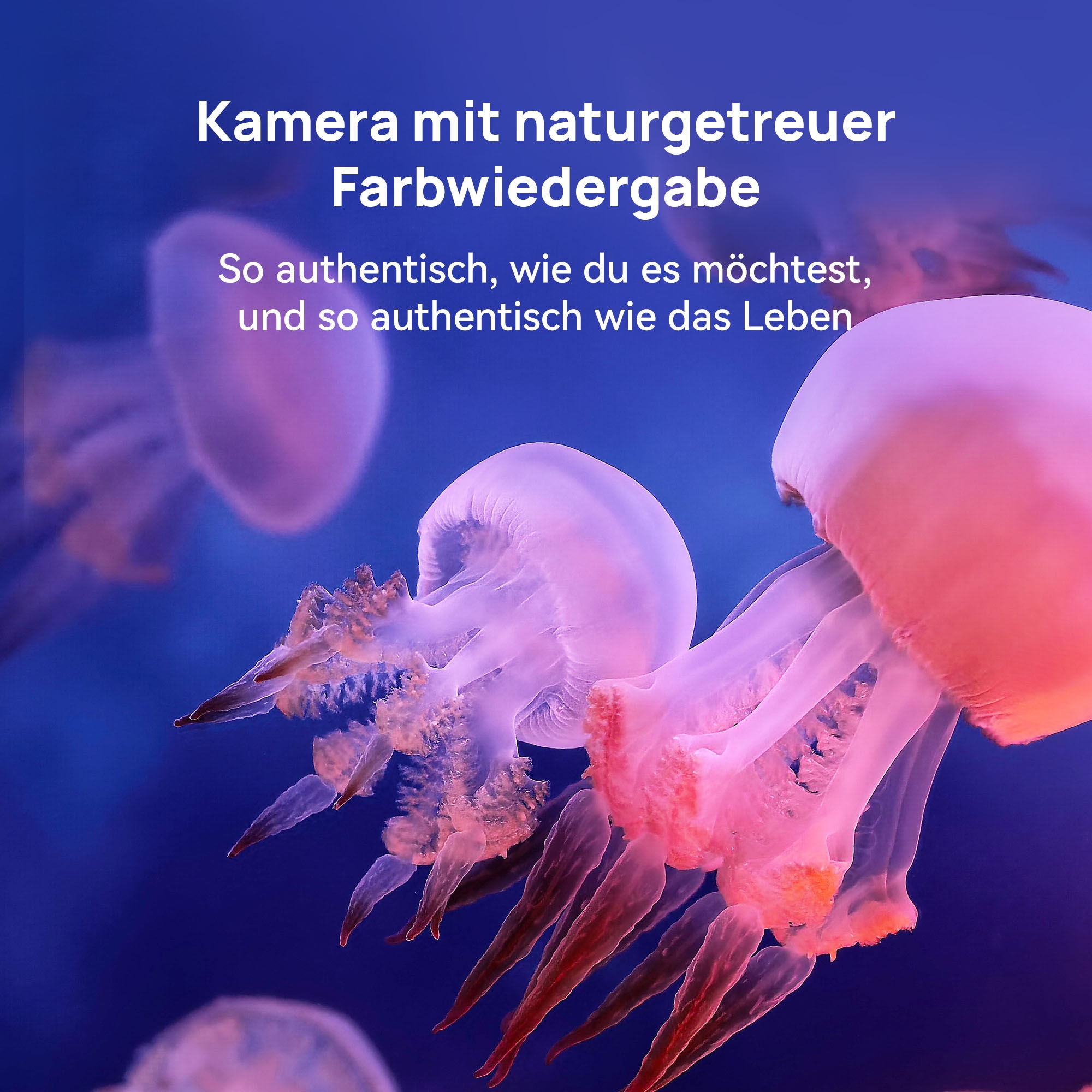 Huawei Smartphone »Mate X7« Schwarz