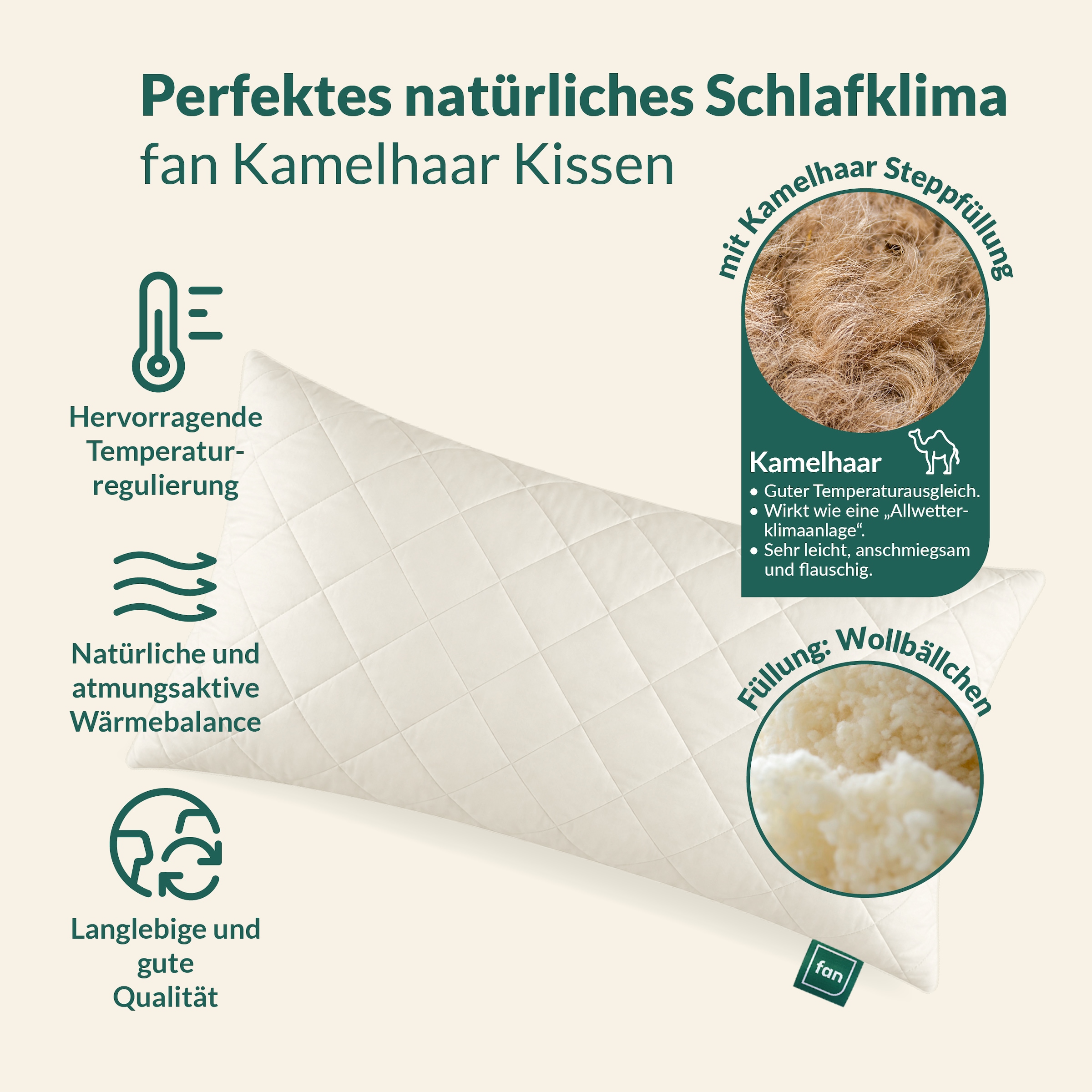 fan Oreiller en fibres naturelles »Gobi, Kopfkissen in 40x80 & 80x80 cm, Made in Germany« Füllung: 97 laine 3 autres fibres 1 cuis tlg. Housse de coussin en coton matelassée avec poil de chameau, rembourrage en laine
