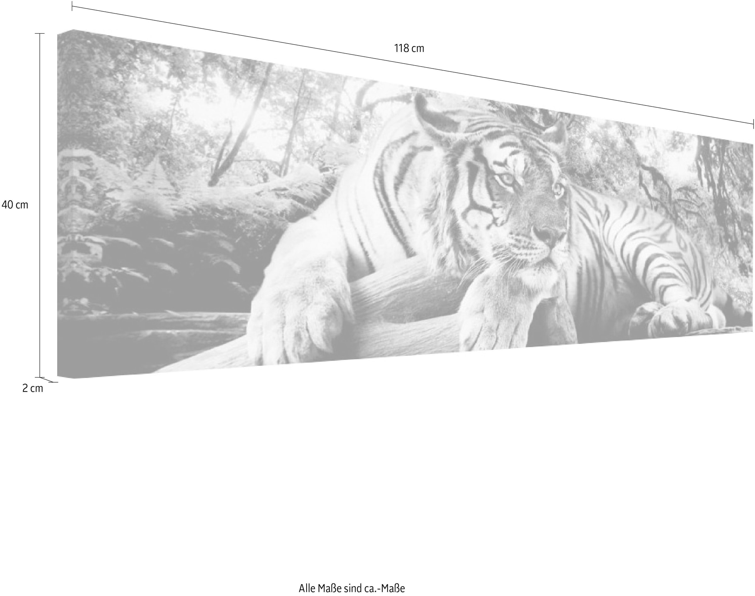 Raubtier Wandbild« Reinders! Tiger - kaufen Wandbild jetzt Wandbild »Tigerblick - - Wohnzimmer Wandbild