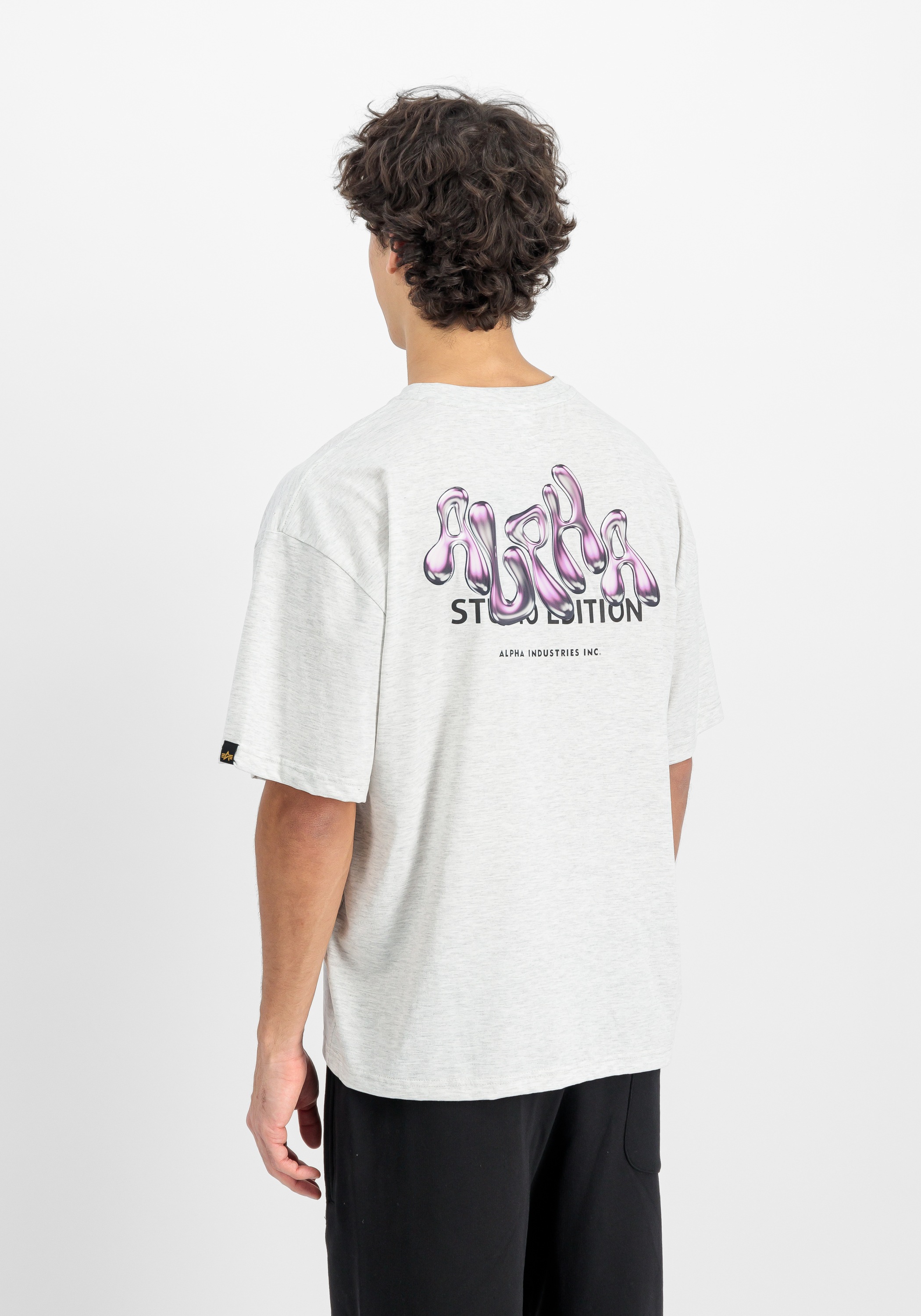 Alpha Industries T-Shirt »Studio Edition Backprint T-Shirt«
