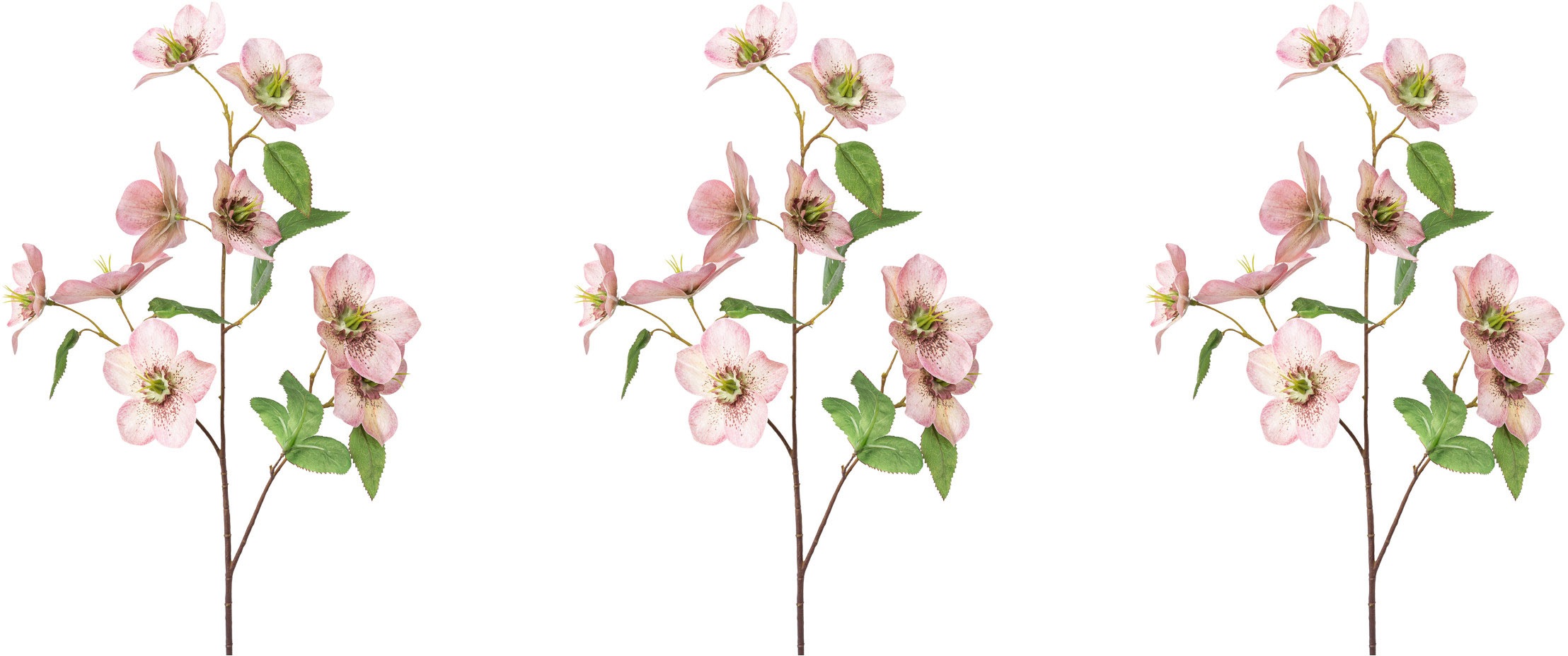 Image of Creativ green Kunstblume, (3 St., 3 Stück), üppiges Blüten- und Blattwerk bei Ackermann Versand Schweiz