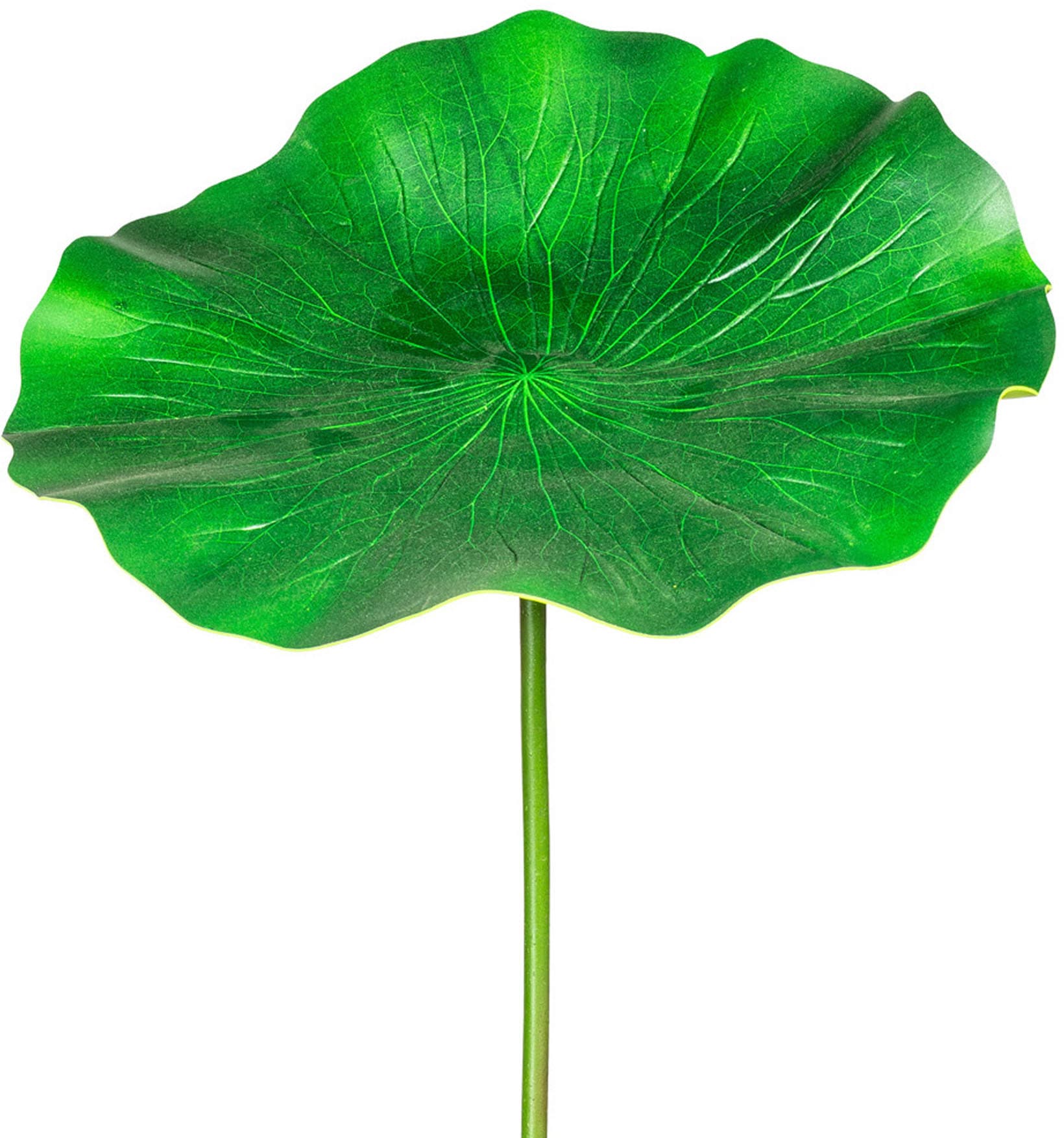 Creativ green Kunstzweig »Lotusblatt«, 2er Set