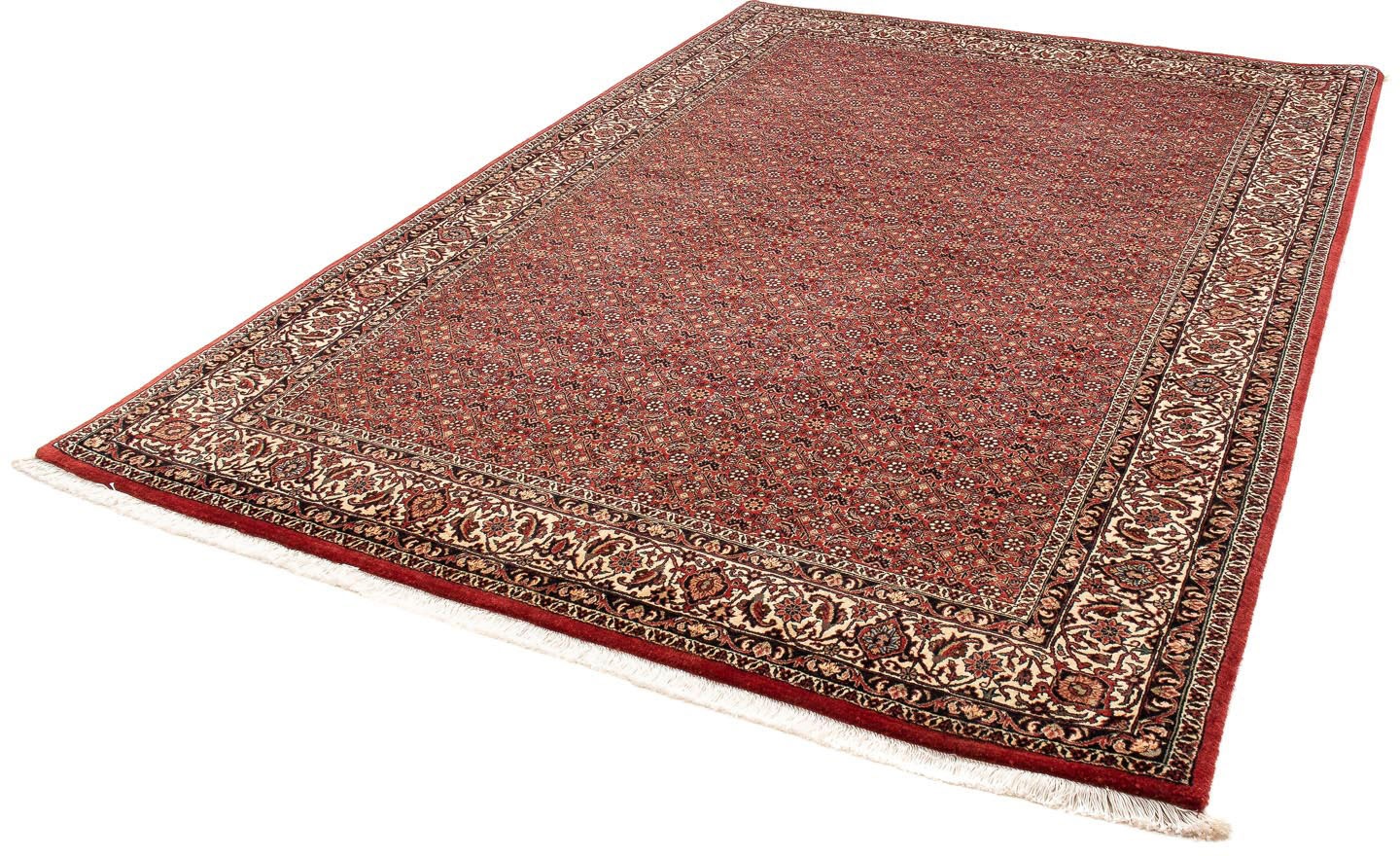 Image of morgenland Orientteppich »Perser - Bidjar - 248 x 174 cm - rot«, rechteckig, 15 mm Höhe, Wohnzimmer, Handgeknüpft, Einzelstück mit Zertifikat bei Ackermann Versand Schweiz