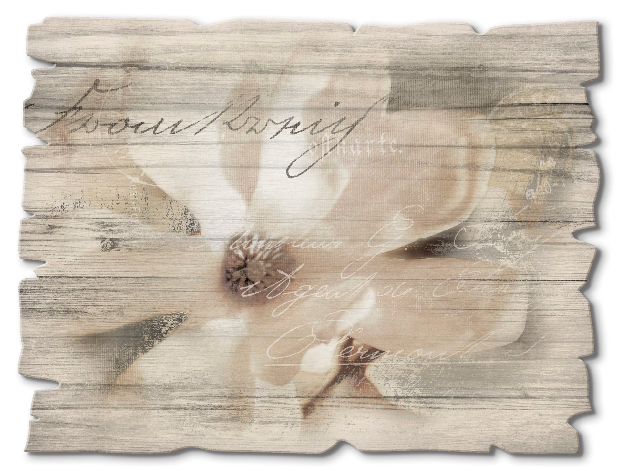Image of Artland Holzbild "Magnolie Detail" Blumen 1 Stk. tlg.