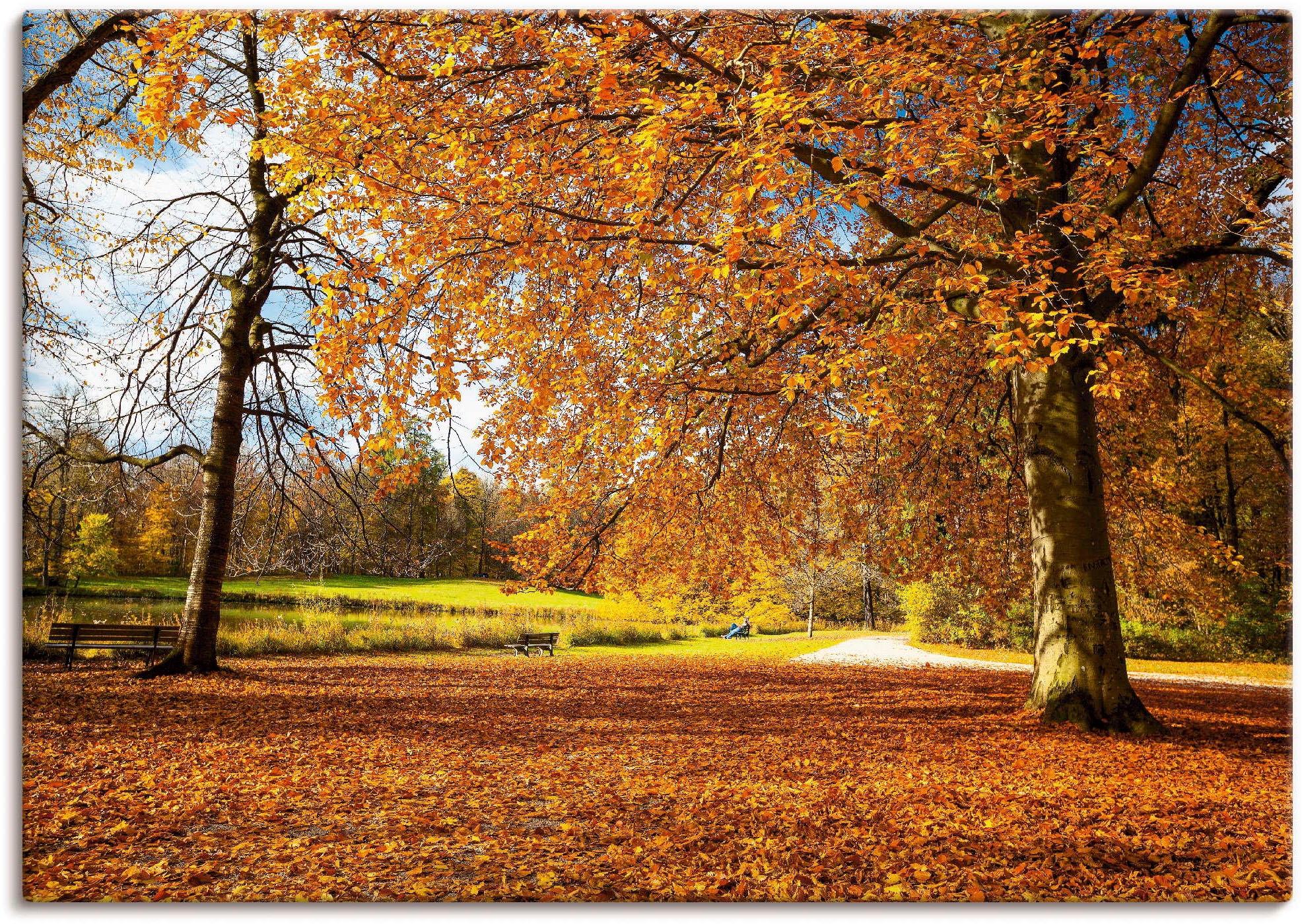 Artland Wandbild »Herbst als Schlosses Wiesen versch. Poster (1 Nymphenburg«, kaufen in St.), Grössen & bei Alubild, Bäume, Leinwandbild, oder Wandaufkleber