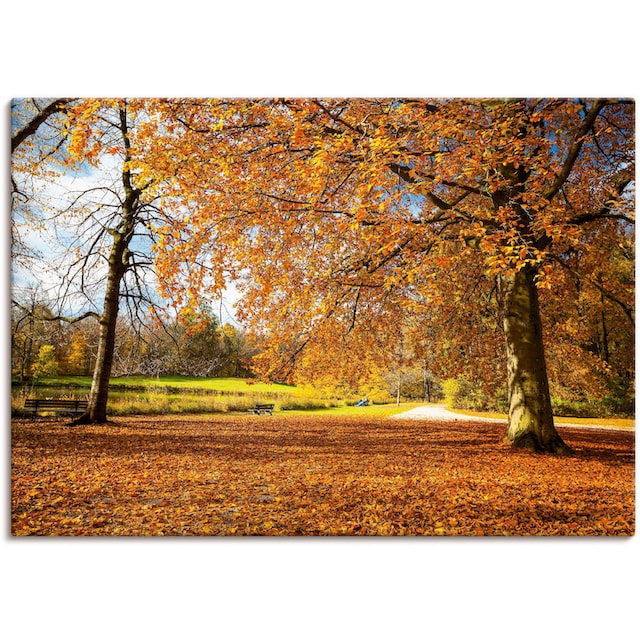 Artland Wandbild »Herbst bei Schlosses Nymphenburg«, Wiesen & Bäume, (1  St.), als Alubild, Leinwandbild, Wandaufkleber oder Poster in versch.  Grössen kaufen