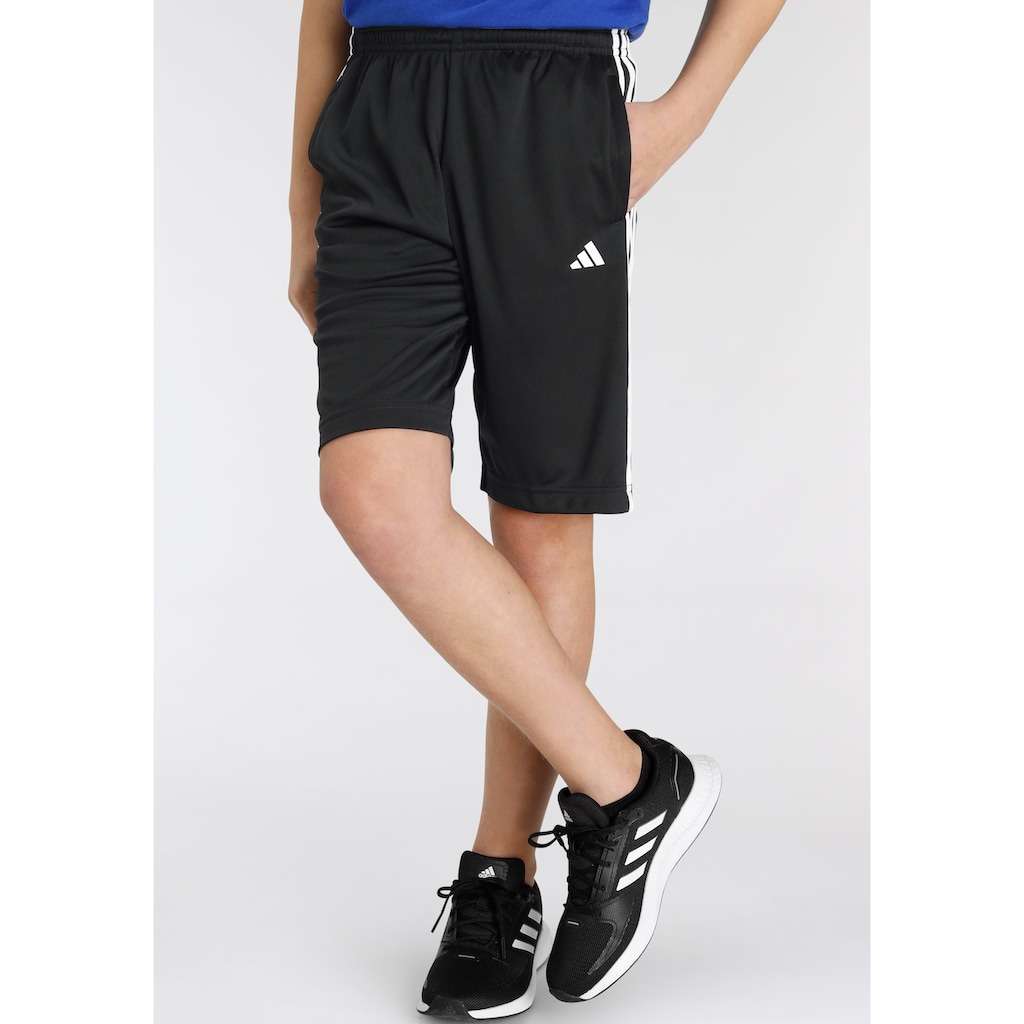 adidas Sportswear Shorts »TRAIN ESSENTIALS AEROREADY 3-STREIFEN REGULAR-FIT«, (1 tlg.)