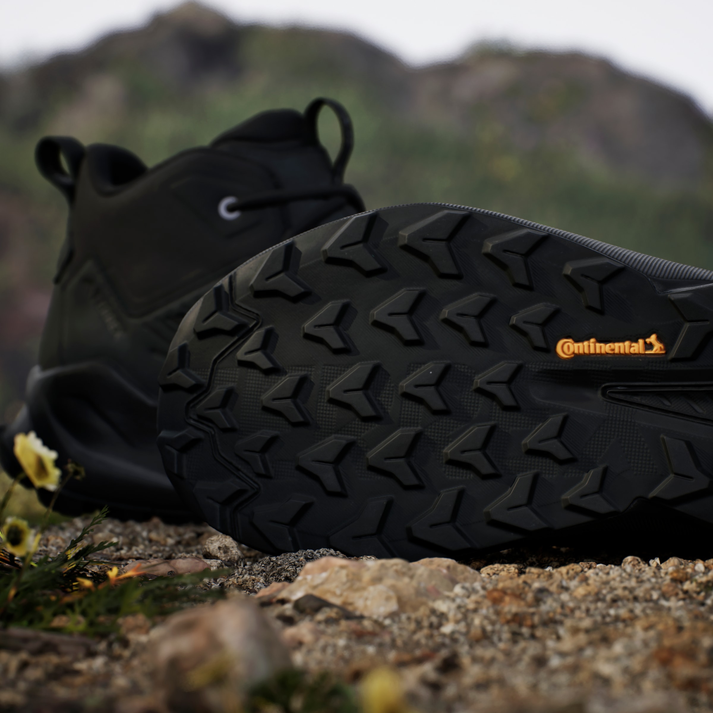 adidas TERREX Wanderschuh »TERREX TRAILMAKER 2.0 LEATHER«