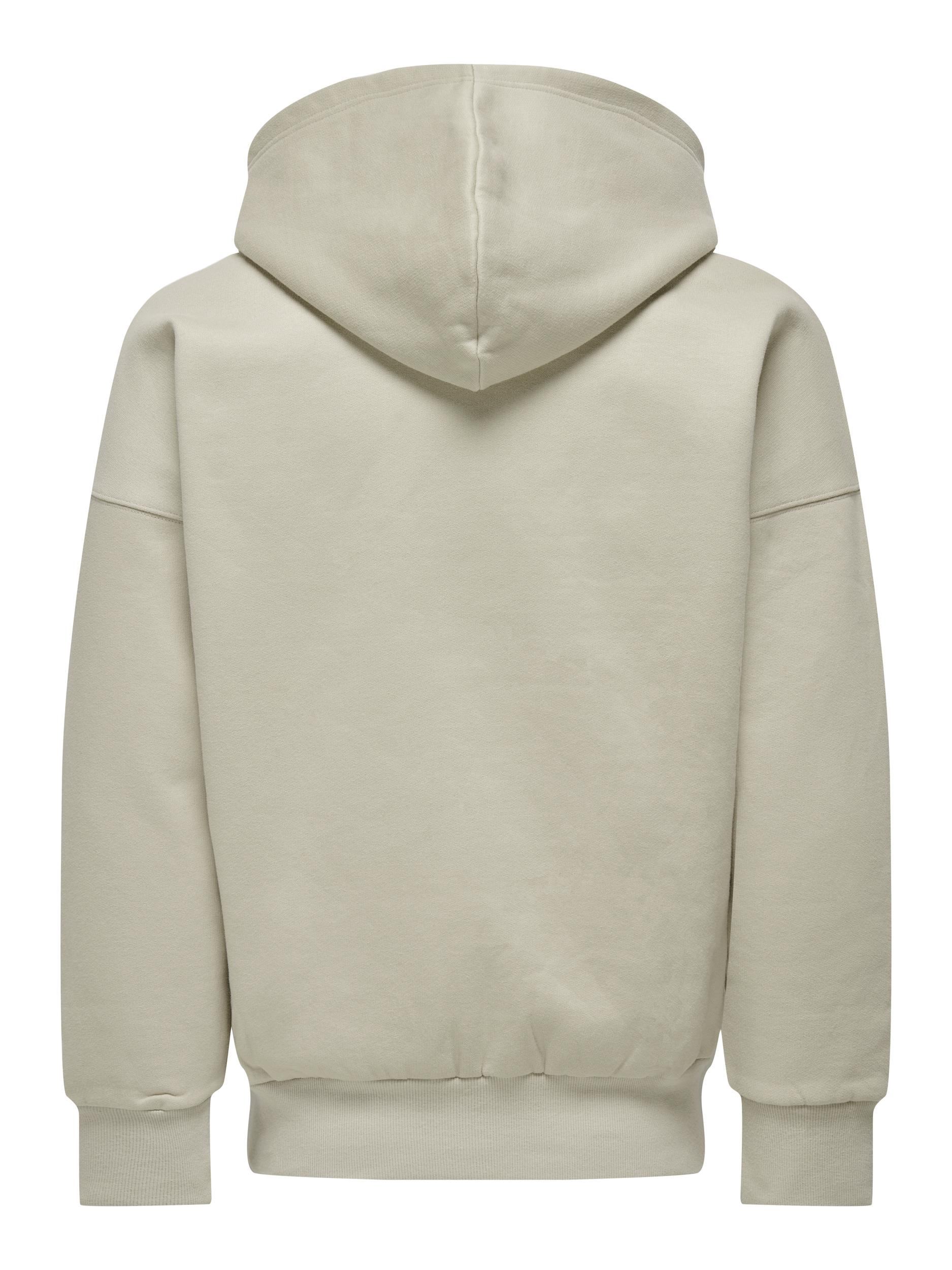 ONLY & SONS Kapuzensweatjacke »ONSDAN LIFE RLX HEAVY ZIP HOODIE NOOS«