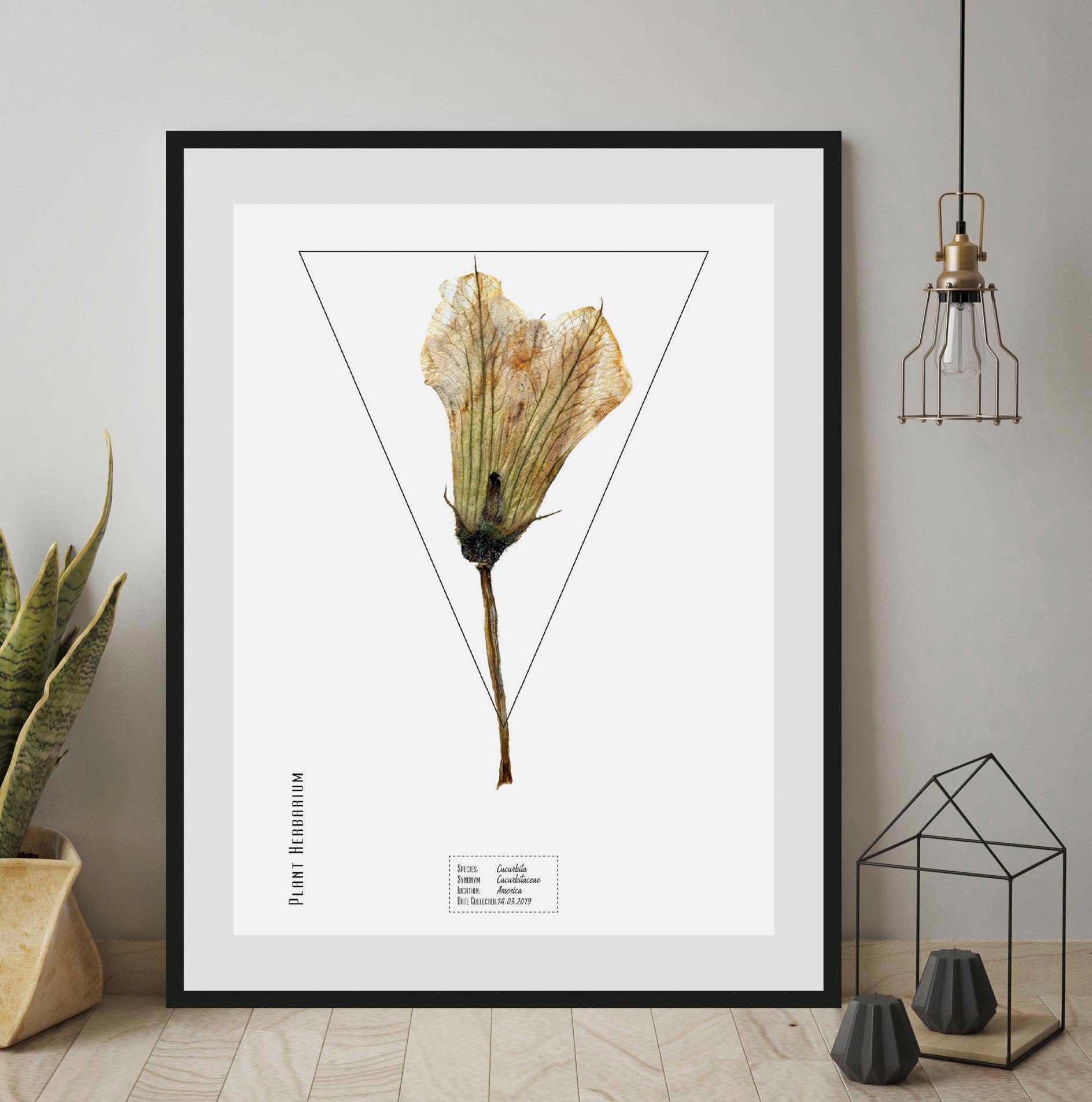 Image of andas Bild »Pflanze«, mit Rahmen bei Ackermann Versand Schweiz
