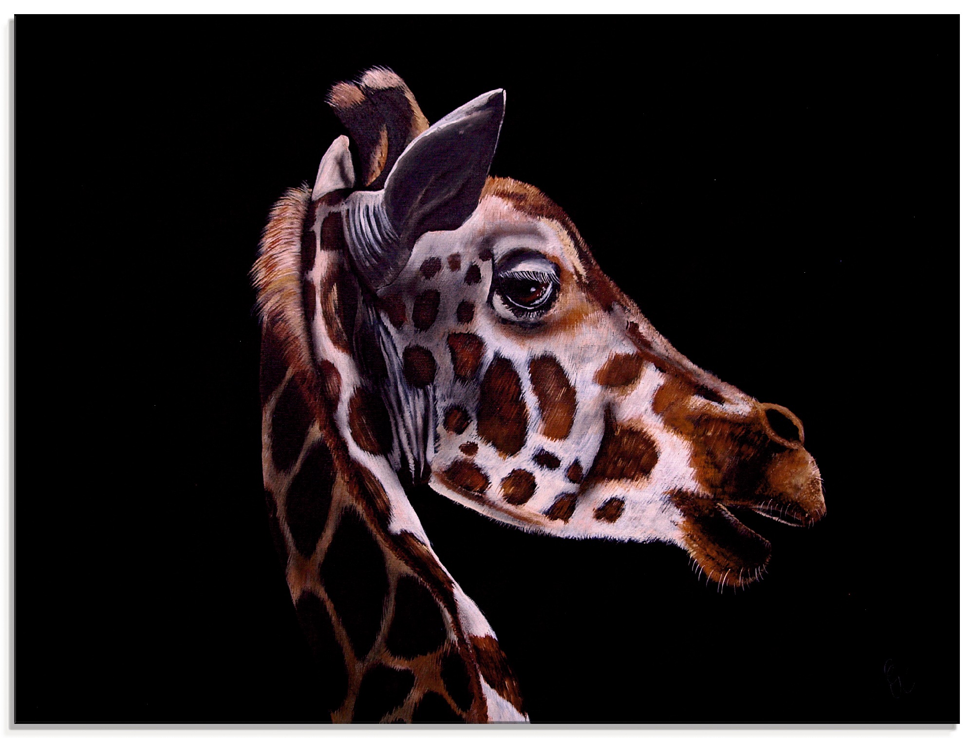 Image of Artland Glasbild »Giraffen Portrait«, Wildtiere, (1 St.) bei Ackermann Versand Schweiz