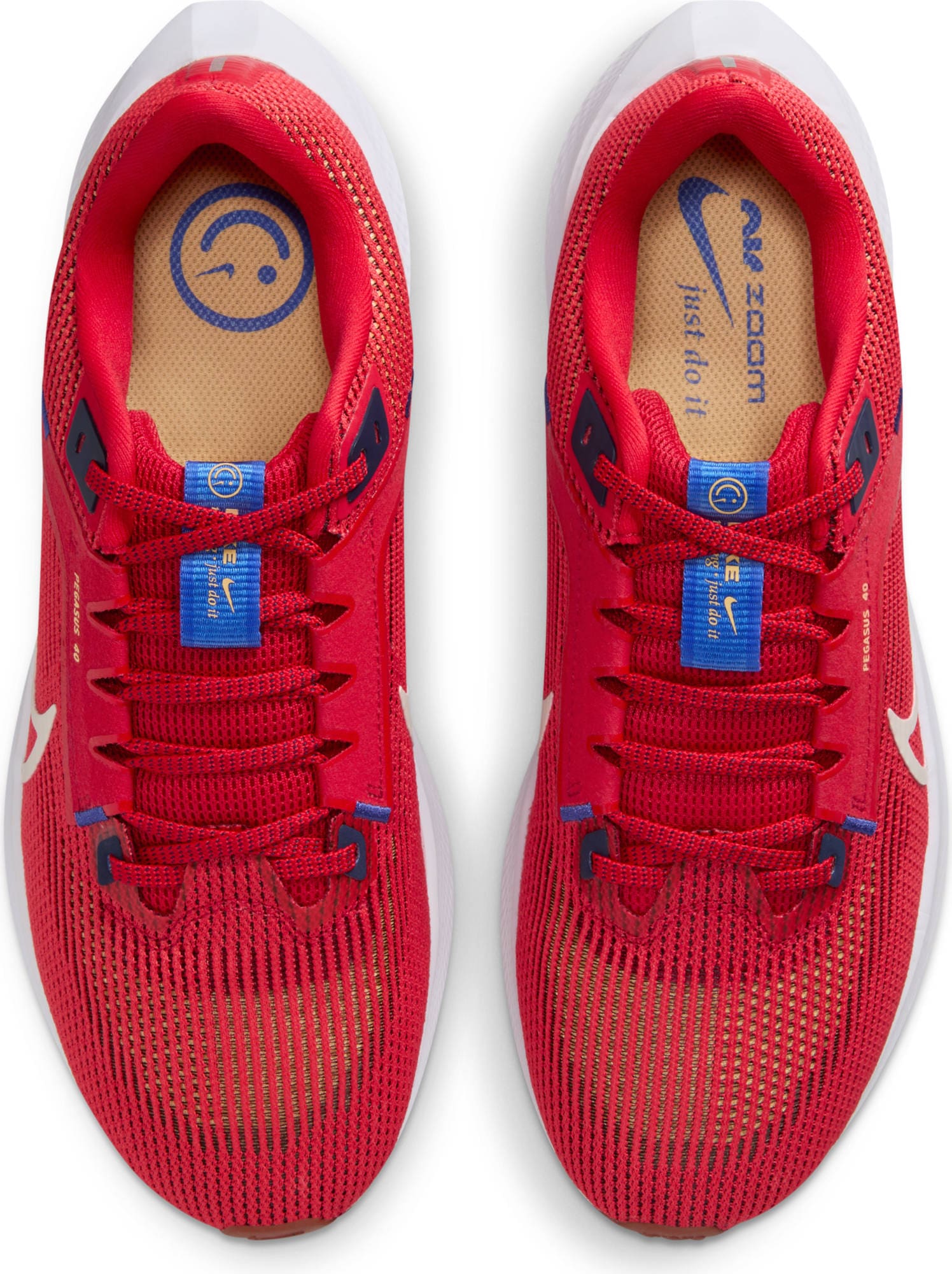 Nike Laufschuh »PEGASUS 40«
