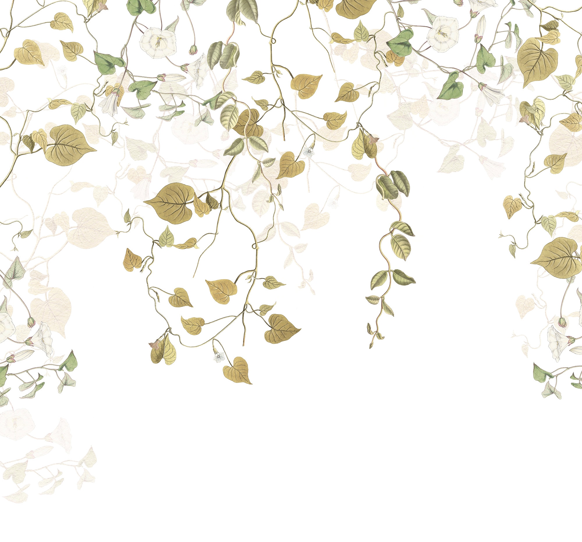 Image of Komar Vliestapete "Digitaldruck Vlies - Hedera - Grösse 300 x 280 cm" bedruckt glatt Wohnzimmer, Schlafzimmer