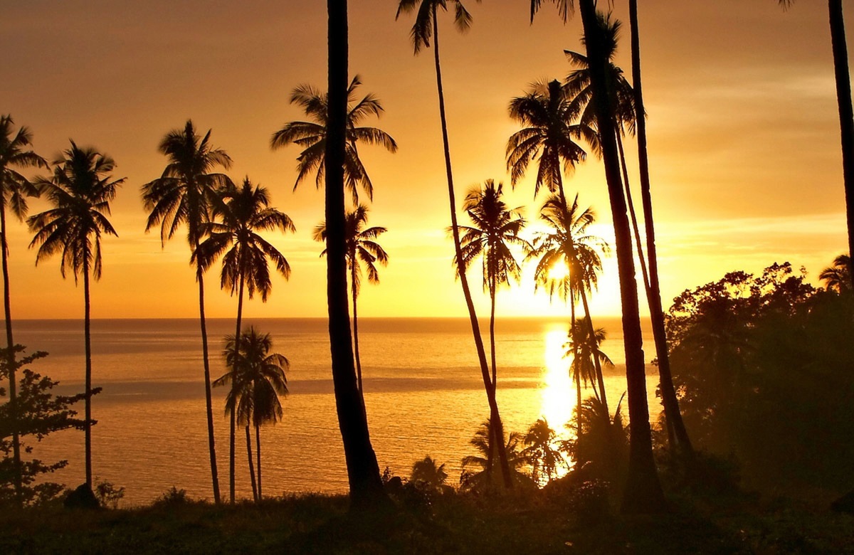 Image of Papermoon Fototapete »PALMEN-STRAND-SONNENUNTERGANG KARIBIK SÜDSEE MEER SONNE«, Vliestapete, hochwertiger Digitaldruck, inklusive Kleister bei Ackermann Versand Schweiz