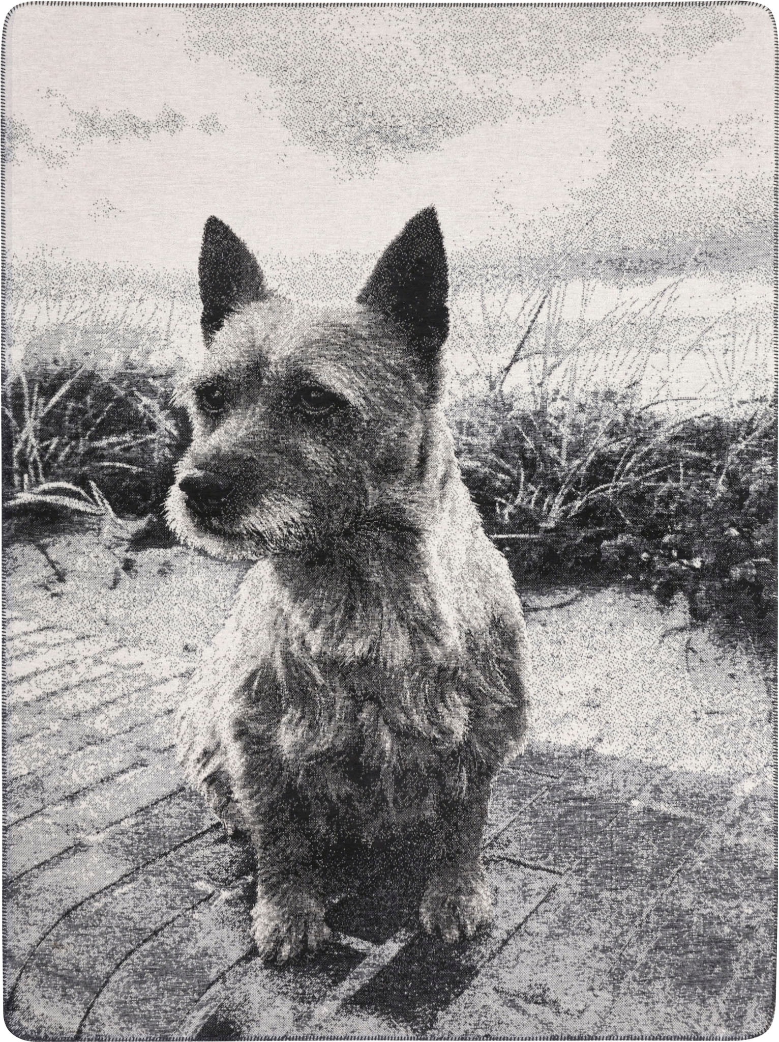 Image of BIEDERLACK Wohndecke »Pie«, mit detailgetreuen Motiv, Kuscheldecke bei Ackermann Versand Schweiz