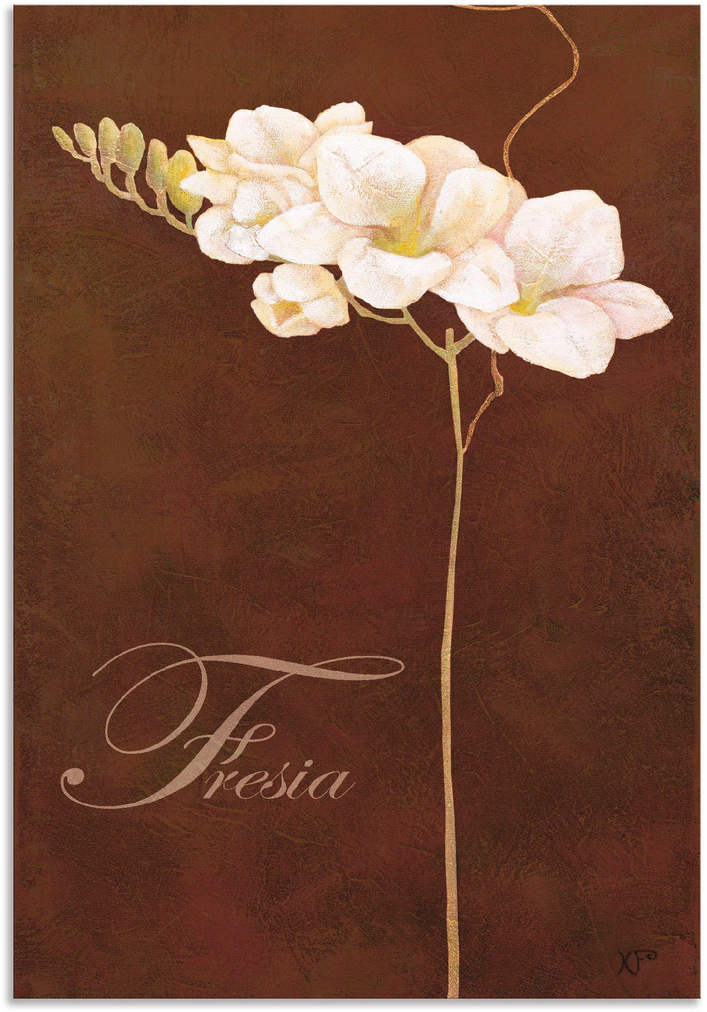 Image of Artland Wandbild »Freesie«, Blumen, (1 St.), in vielen Grössen & Produktarten - Alubild / Outdoorbild für den Aussenbereich, Leinwandbild, Poster, Wandaufkleber / Wandtattoo auch für Badezimmer geeignet bei Ackermann Versand Schweiz