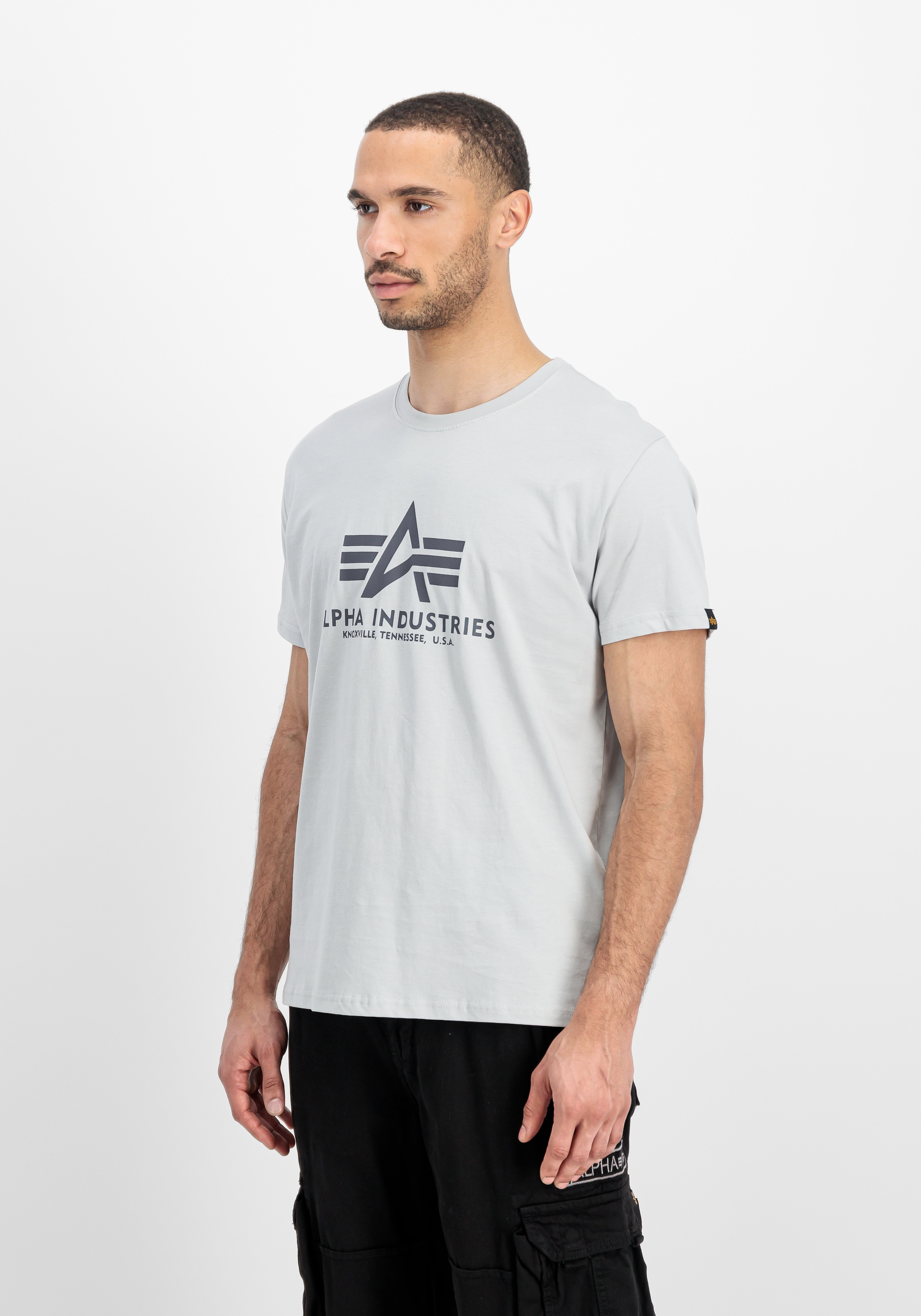 Alpha Industries T-shirt »Basic T-Shirt« Baumwolle, regular fit