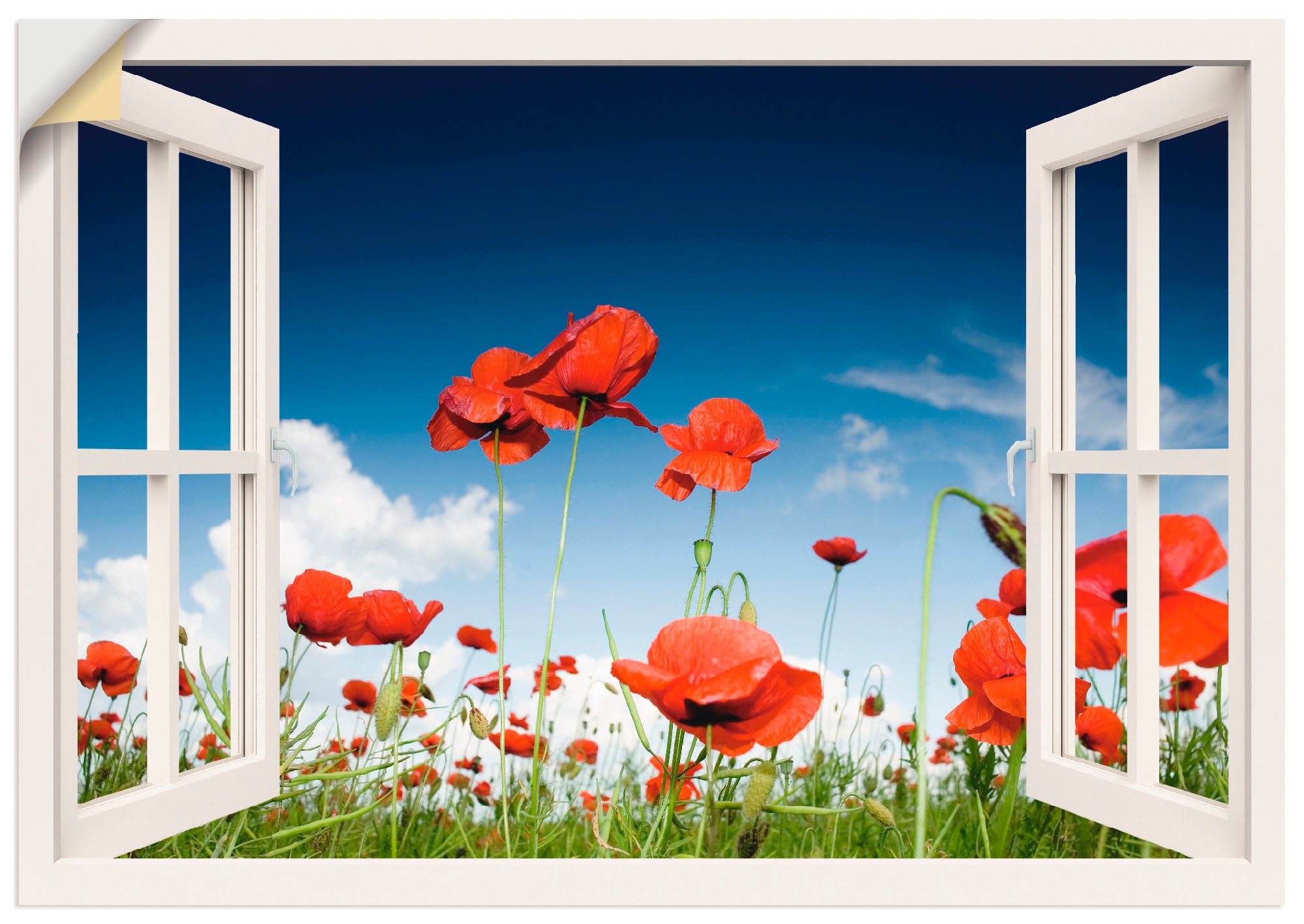 Artland mit (1 Fensterblick, Mohnblumen«, Leinwandbild, Wandaufkleber jetzt als oder Wandbild Feld »Fensterblick Grössen in versch. kaufen Poster St.),
