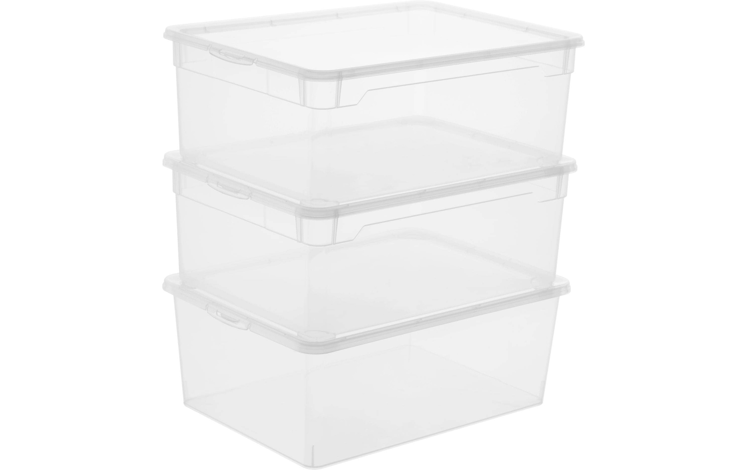 Image of ROTHO Aufbewahrungsbox "Men Shoe Transparent, 3 tlg."