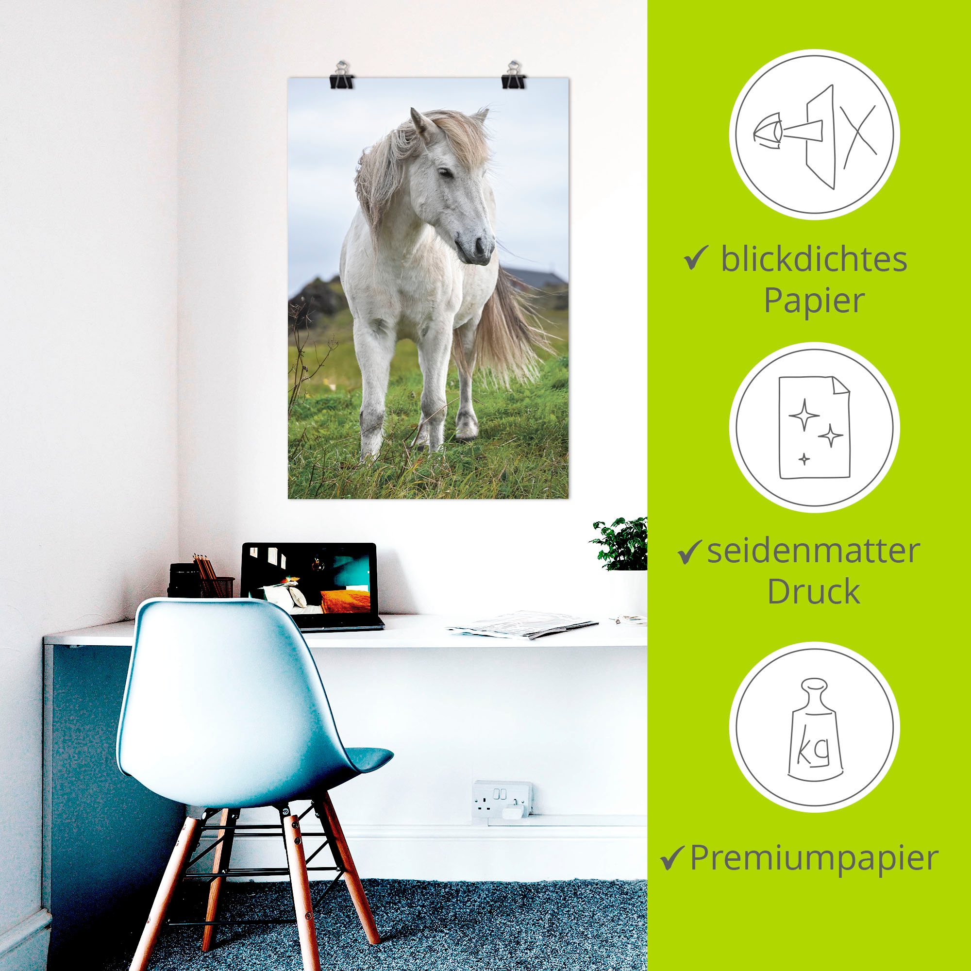 Artland Wandbild »Weisses Islandpferd auf Wiese« Pferdebilder 1 Stk. tlg. als Alubild, Leinwandbild, Poster, Wandaufkleber in verschied. Grössen