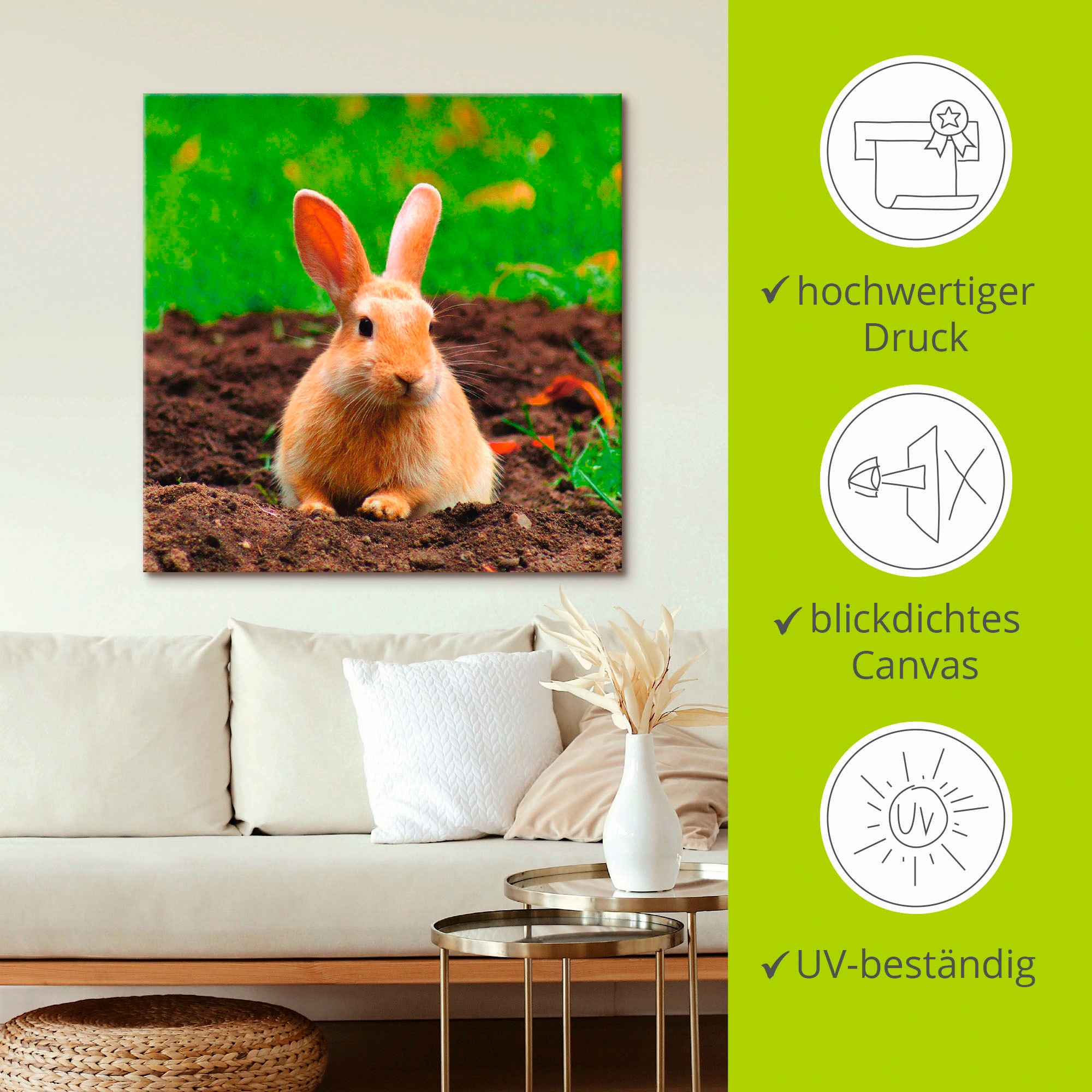 Artland Wandbild »Glückliches Zwergkaninchen«, Wildtiere, (1 St.), als Leinwandbild, Wandaufkleber in verschied. Grössen