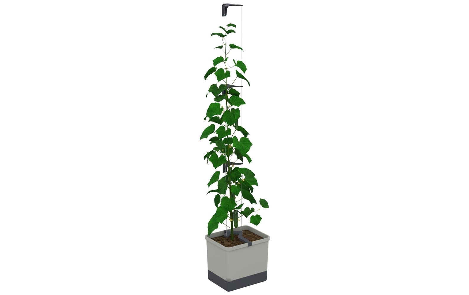 Gusta Garden Blumentopf