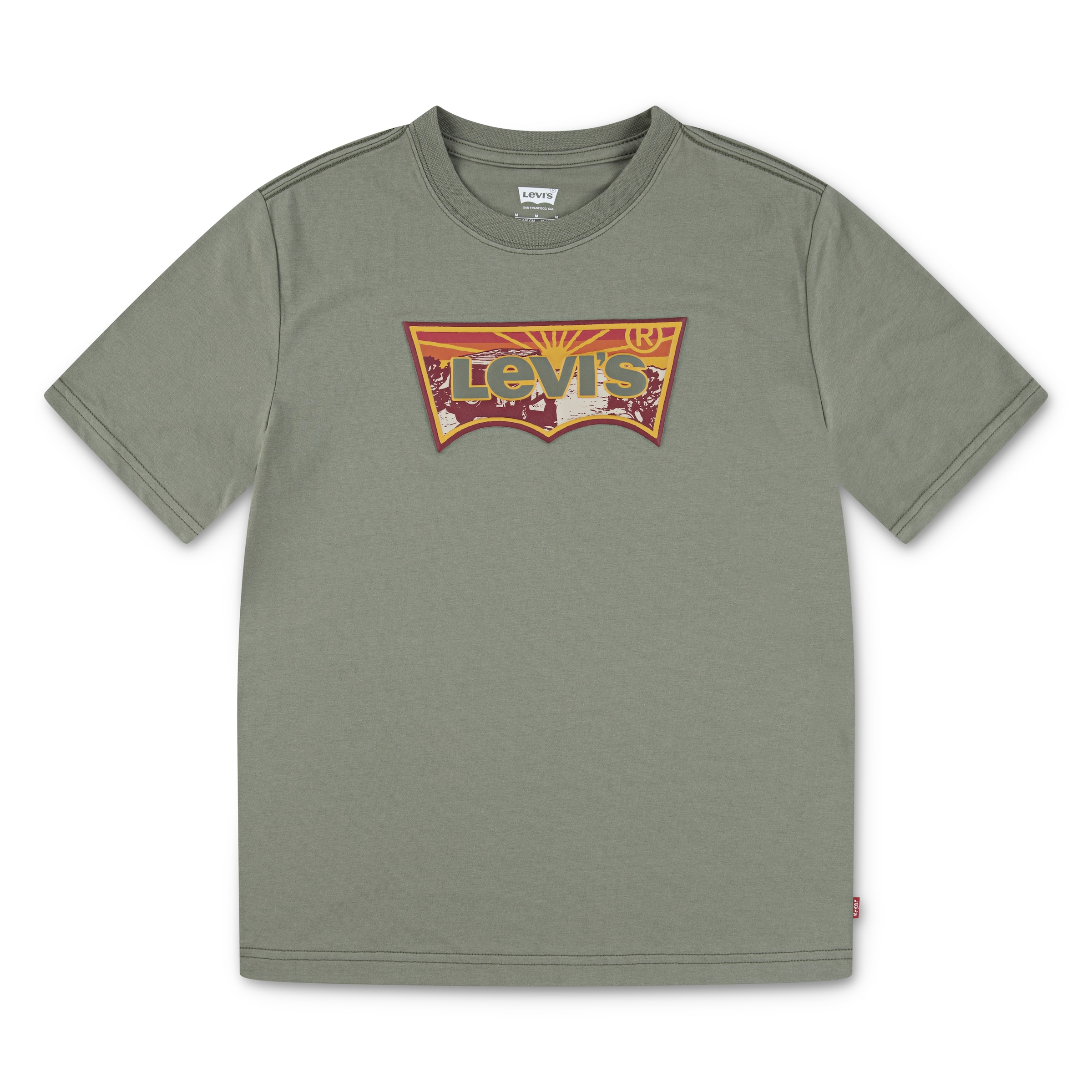 Image of Levis Kids T-Shirt "LVB SUNRISE DESERT TEE" aus Baumwollmix, for Boys