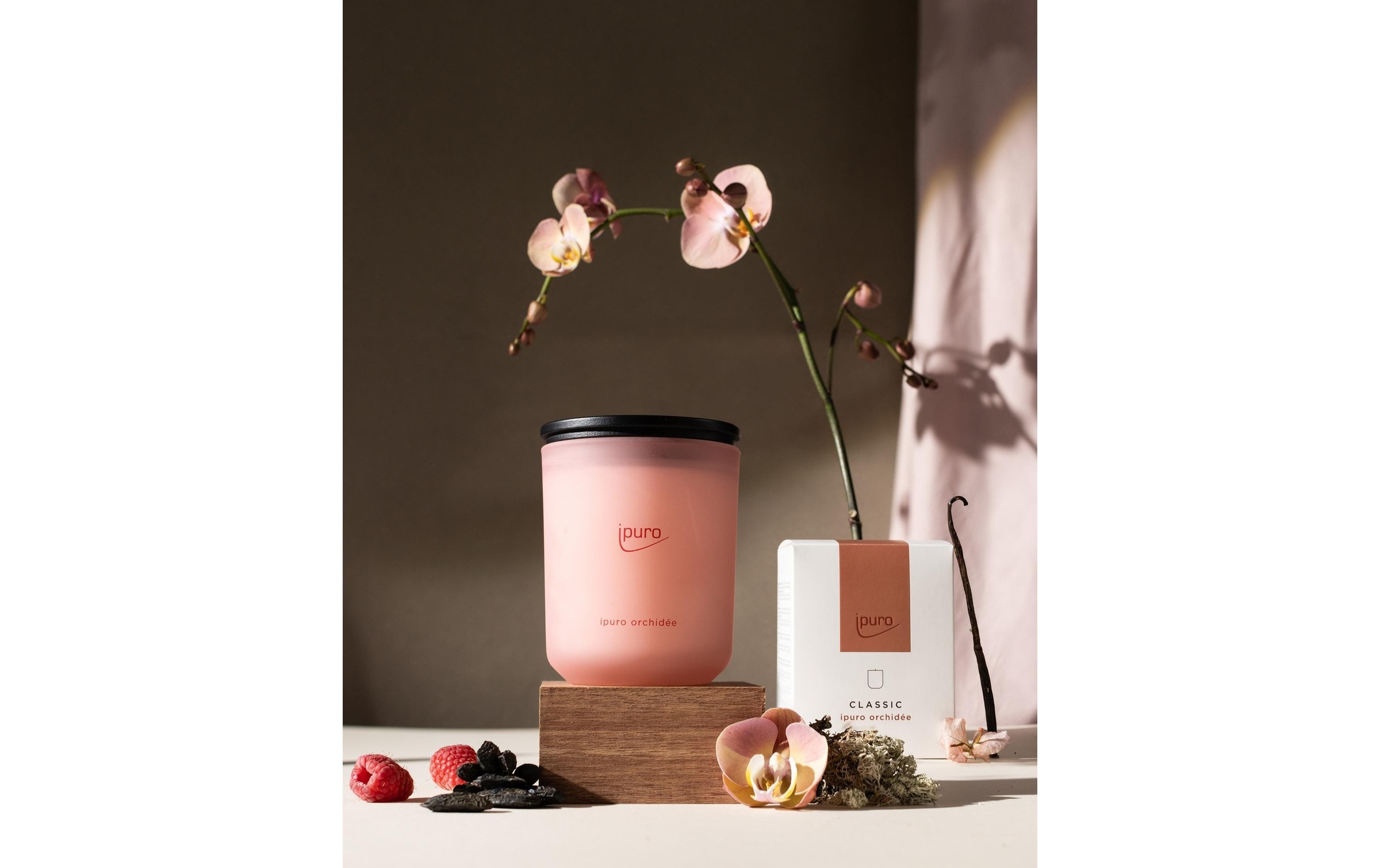 IPURO Duftkerze »Orchidee 270 g«