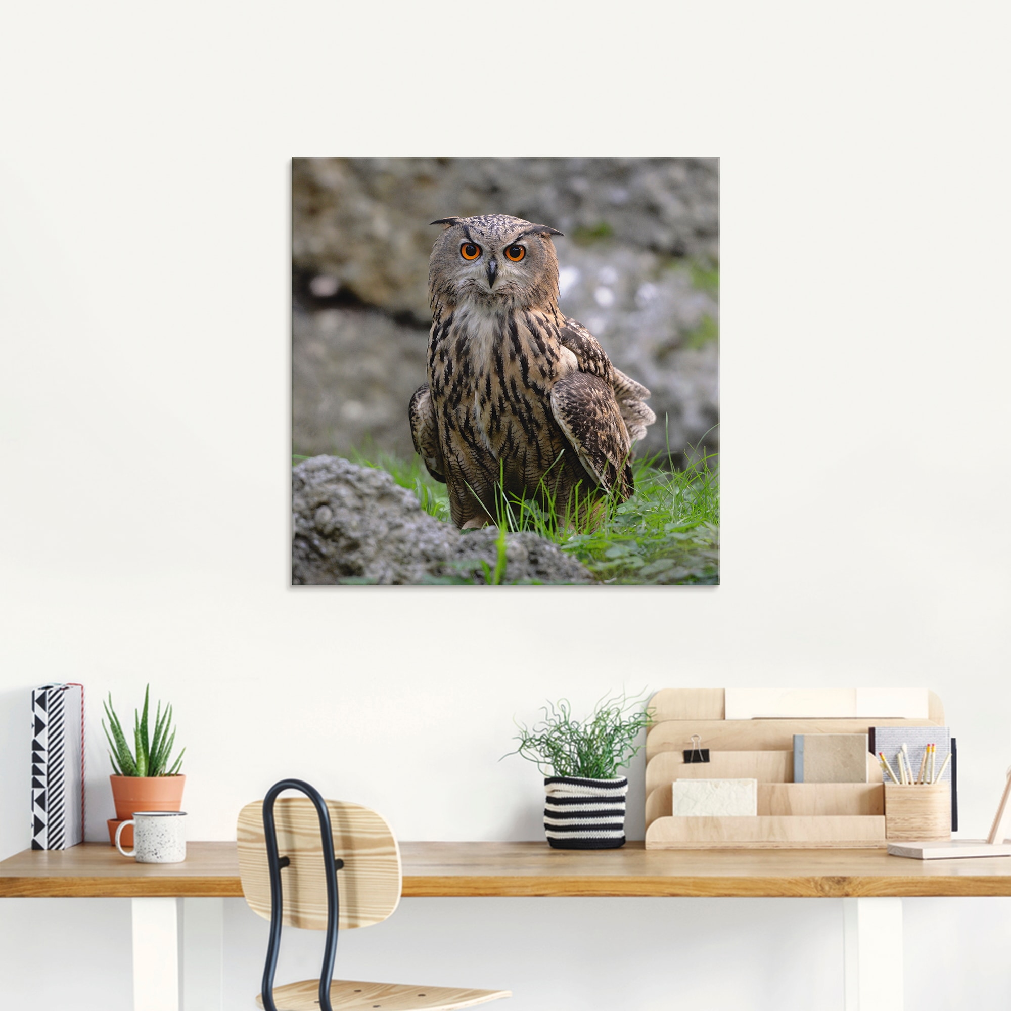 Artland Glasbild »Uhu« Vögel 1 Stk. tlg. in verschiedenen Grössen