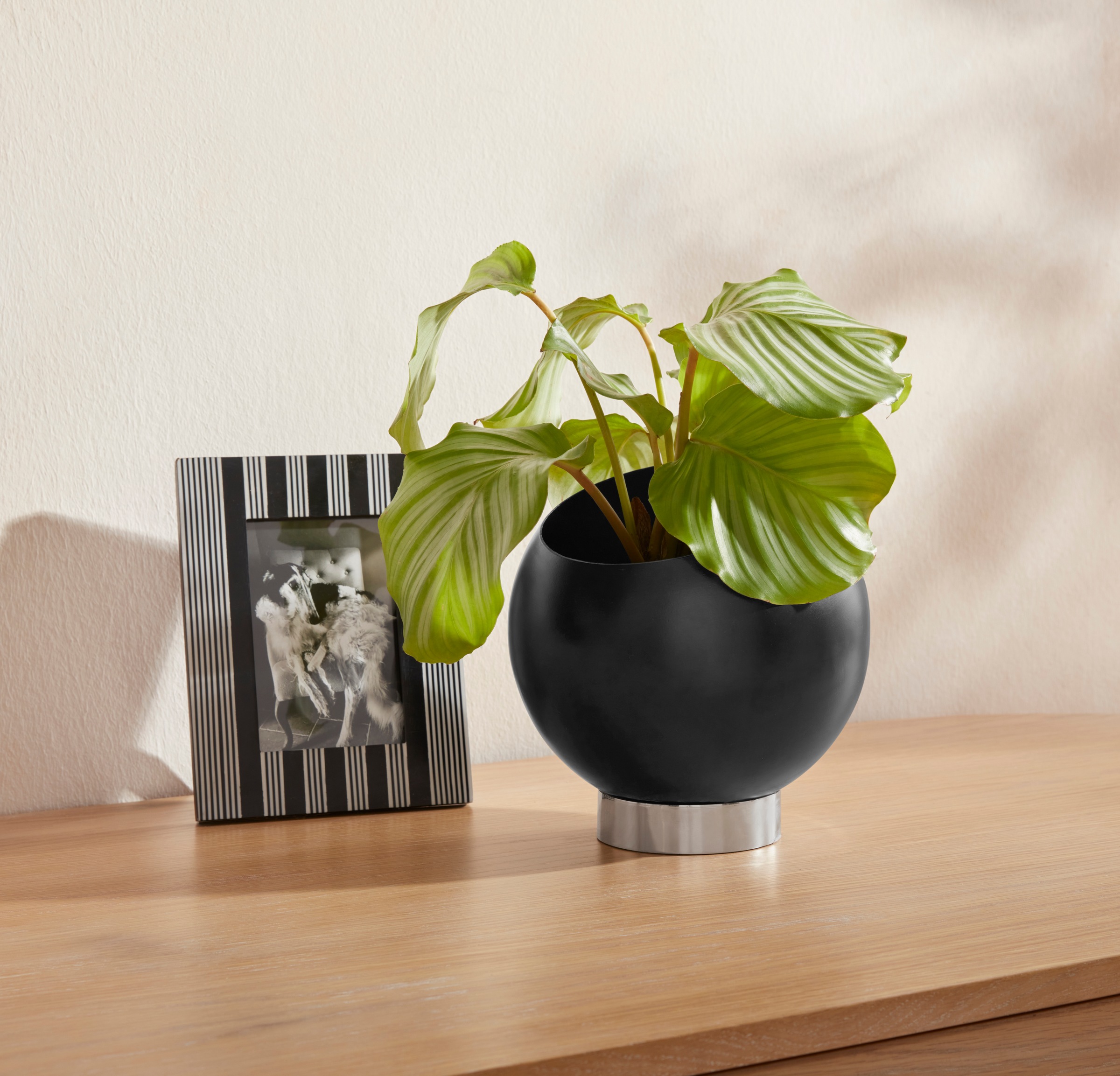 Image of Guido Maria Kretschmer Home&Living Übertopf »Piert« bei Ackermann Versand Schweiz