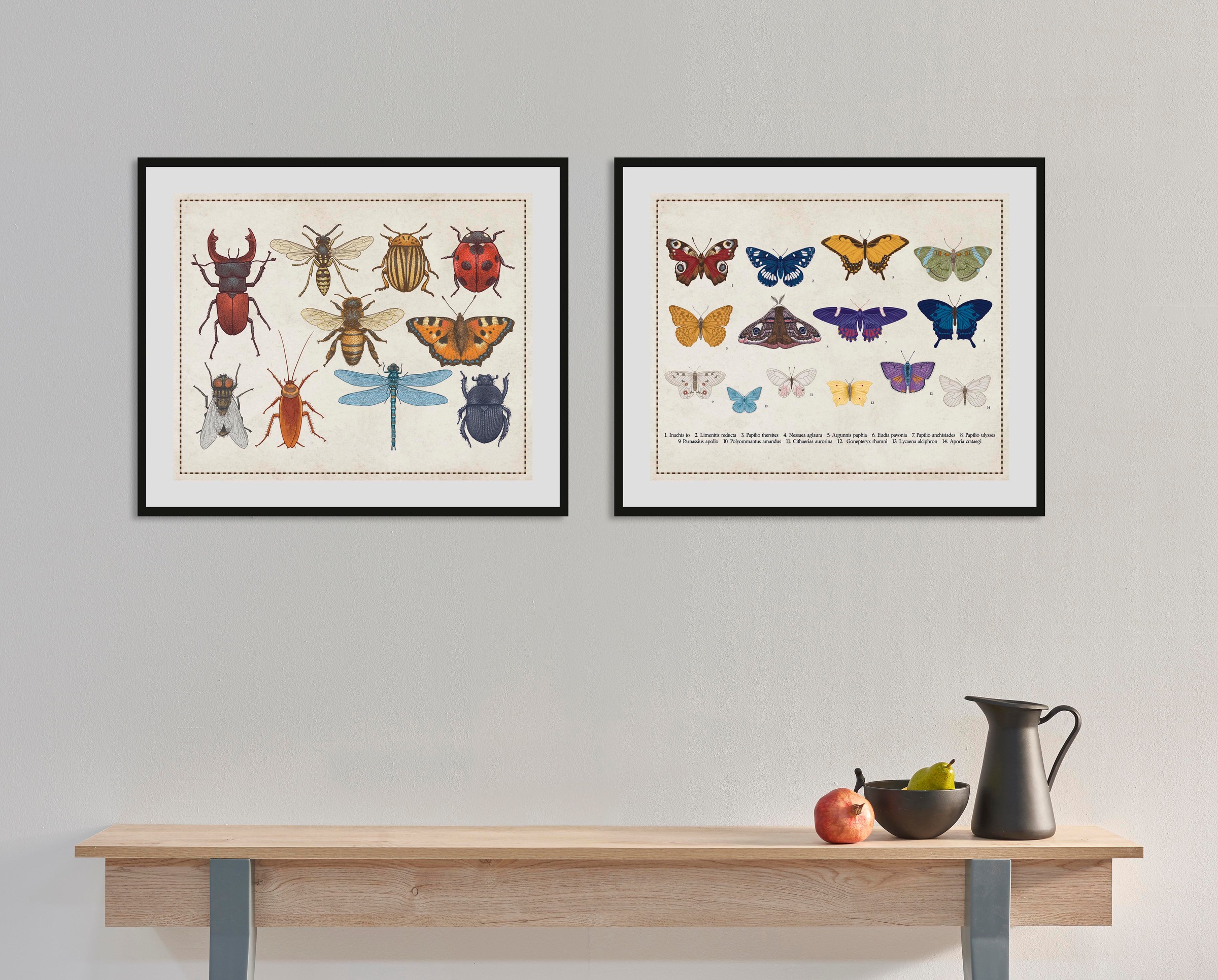 Image of queence Bild "Das Grosse Krabbeln" Insekten Kunst Schmetterlinge 1 Stk. tlg. HD Premium Poster-Druck inkl. Holzrahmen