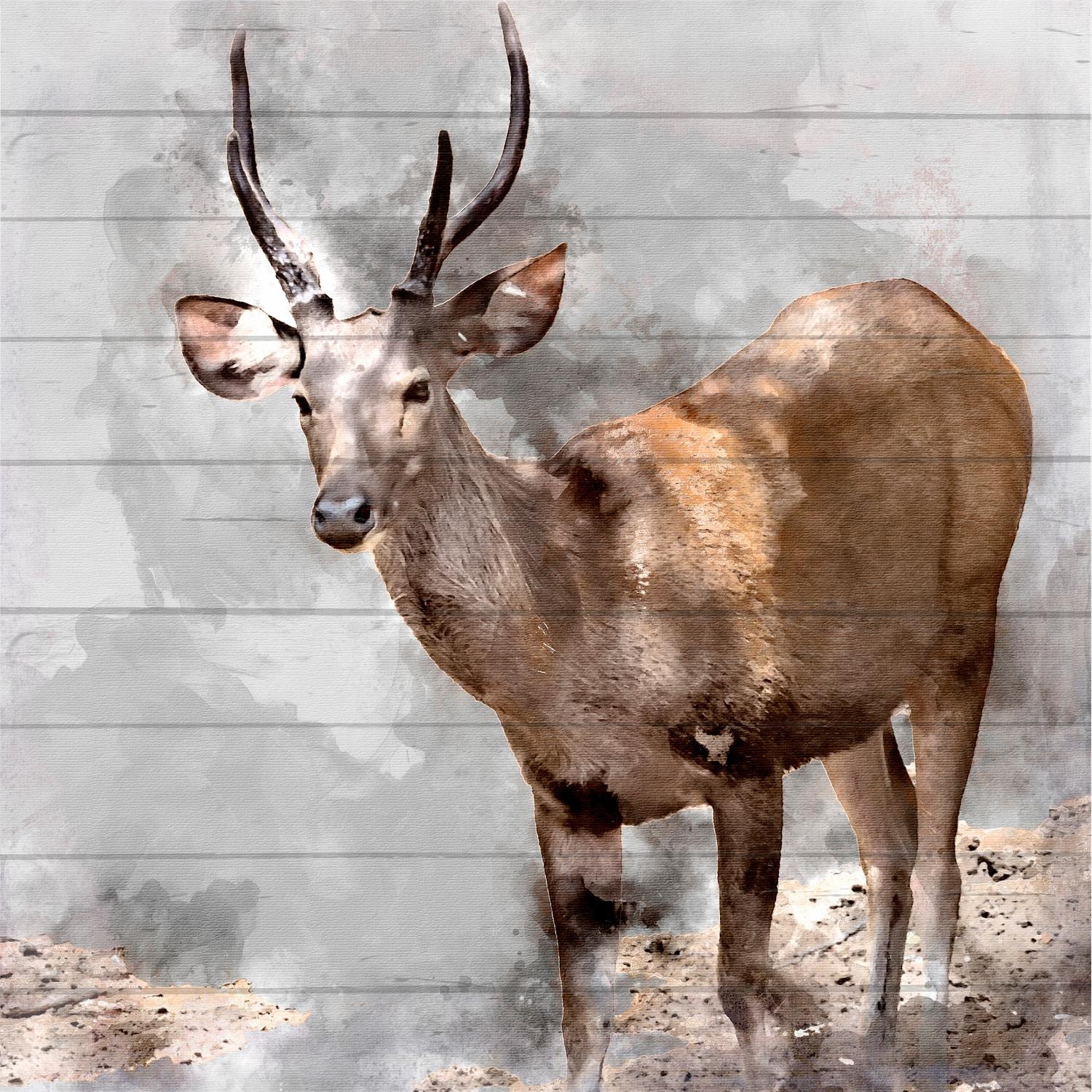 Image of Home affaire Holzbild »Reh«, 40/40 cm bei Ackermann Versand Schweiz