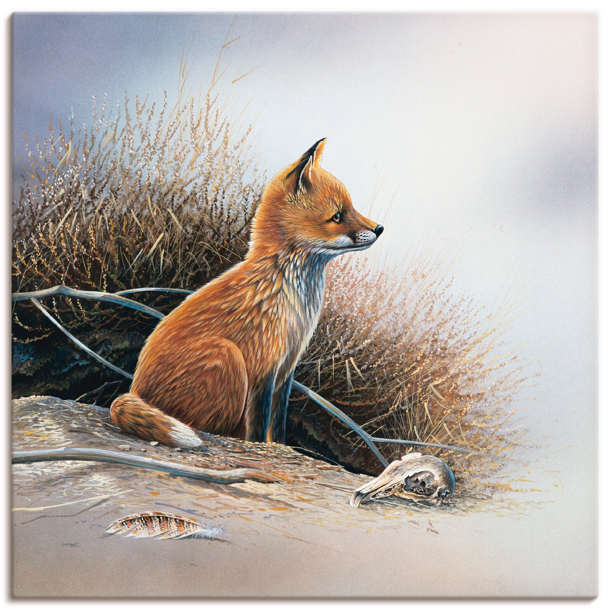 Image of Artland Leinwandbild "Kleiner Fuchs" Wildtiere 1 Stk. tlg. auf Holzrahmen gespannt