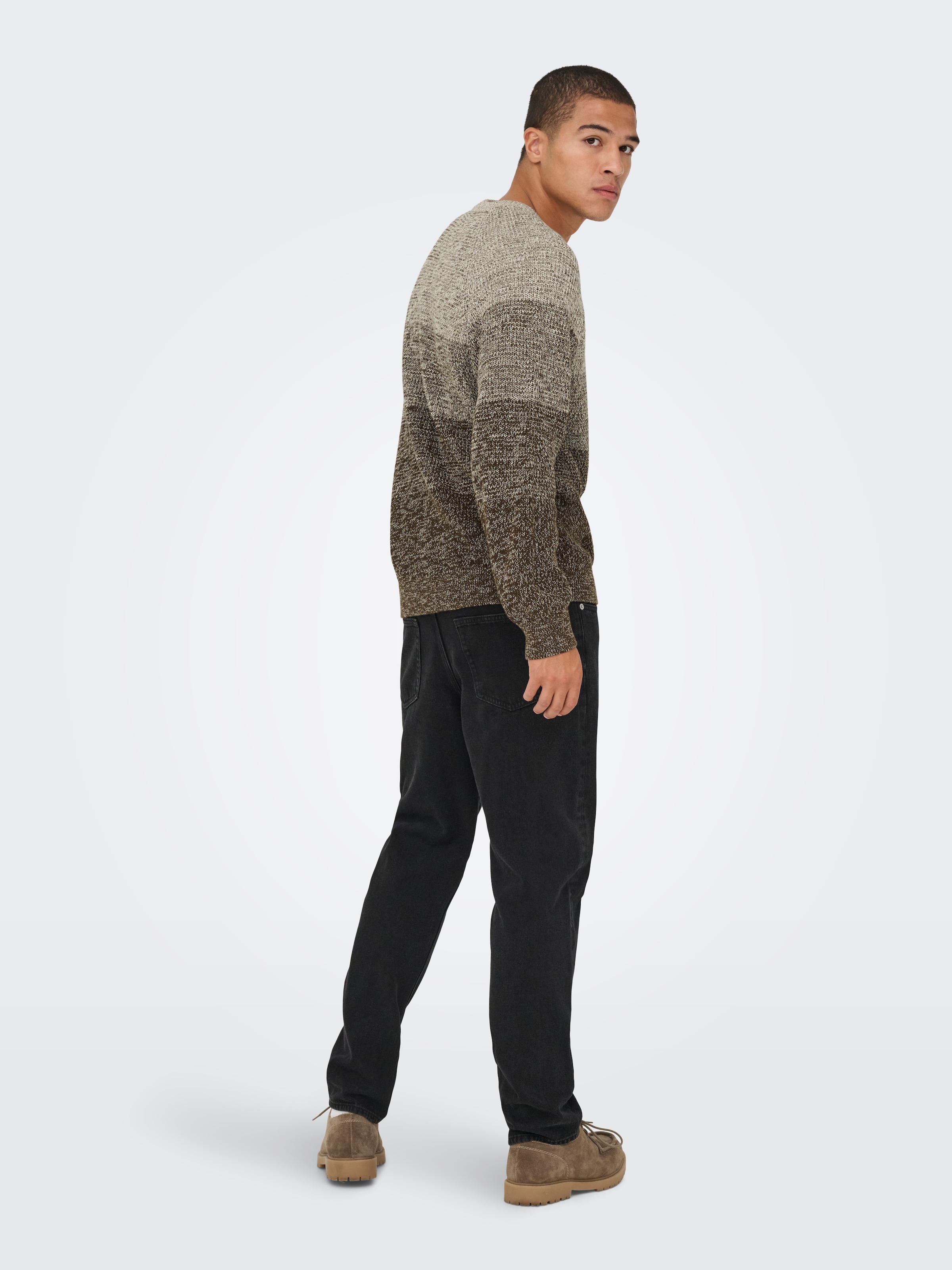 ONLY & SONS Pull à col rond »ONSBIRK RLX LS RAGLAN KNIT CAMP«