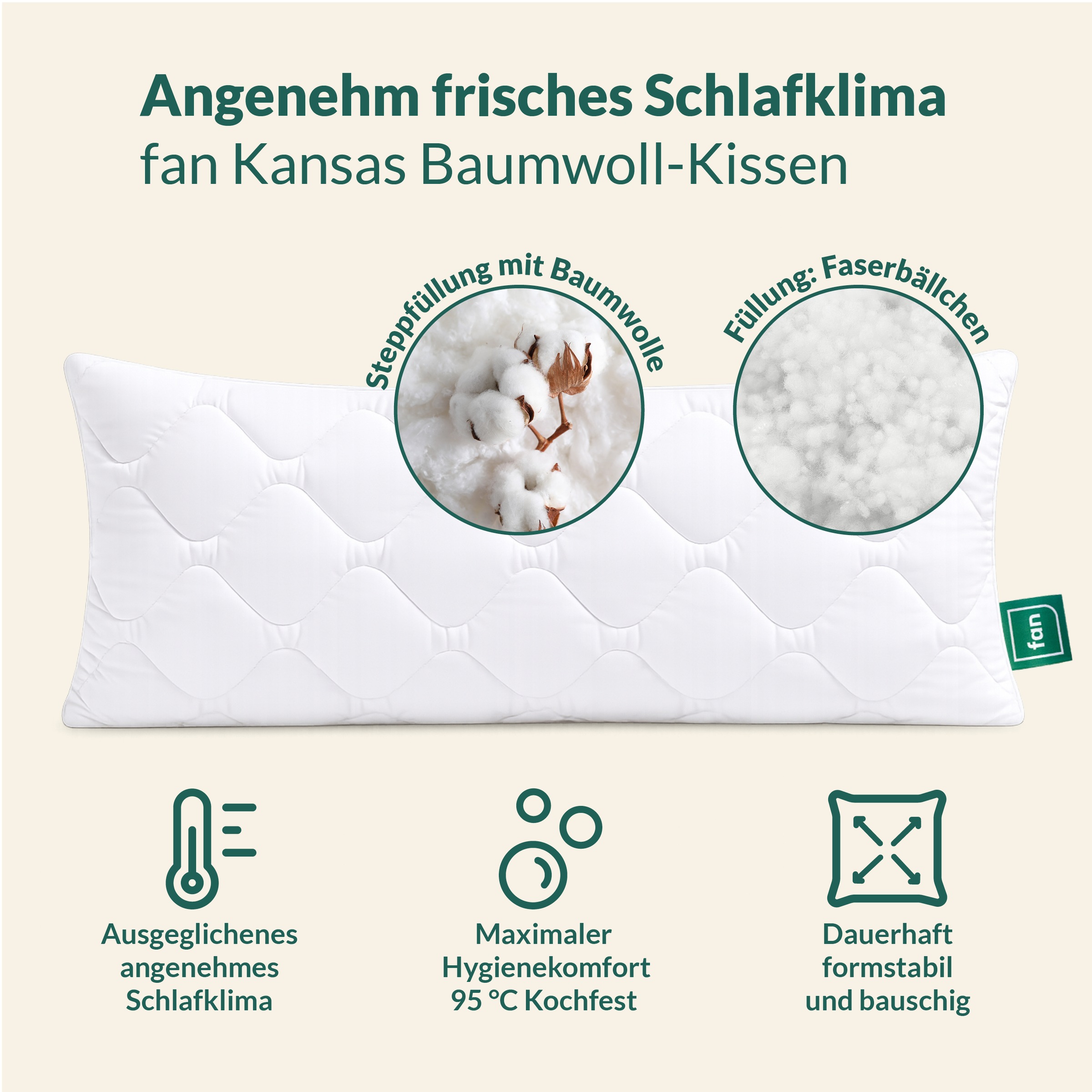 fan Oreiller en microfibre »Kansas, mit Baumwollbezug und Reissverschluss« Füllung: 100 % microfibre 1 cuis tlg. en 40x80 ou 80x80 cm, oreiller en microfibre, fabriqué en Allemagne