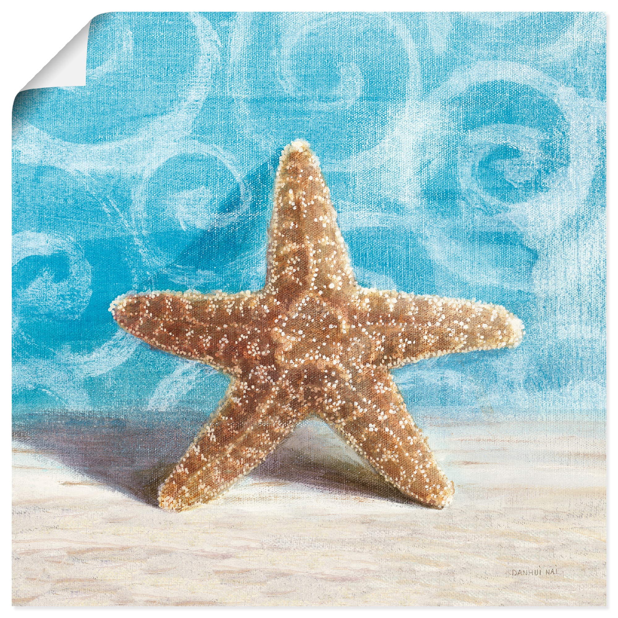 Image of Artland Wandbild »Geschenke aus dem Meer III«, Wassertiere, (1 St.), in vielen Grössen & Produktarten -Leinwandbild, Poster, Wandaufkleber / Wandtattoo auch für Badezimmer geeignet bei Ackermann Versand Schweiz